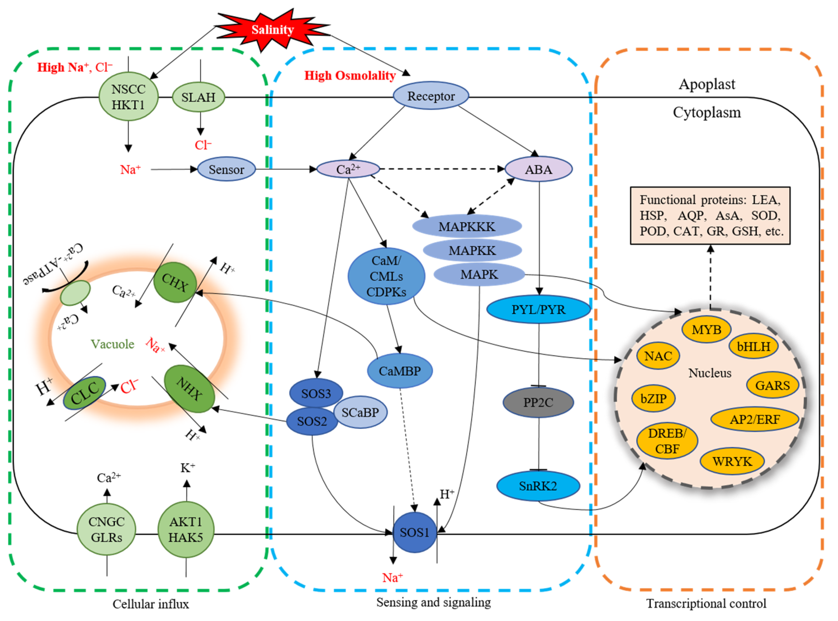 Horticulturae 10 01221 g003