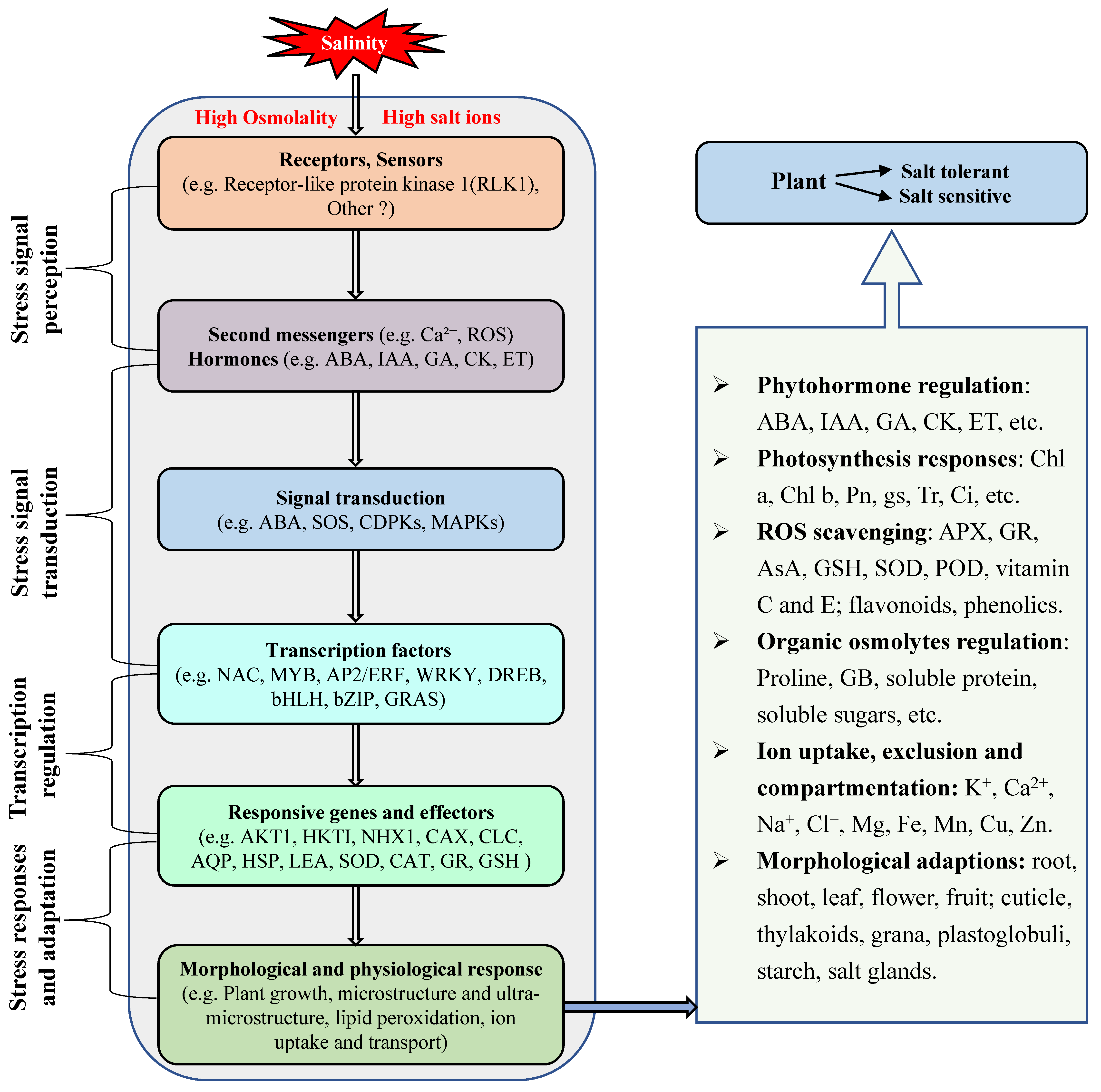 Horticulturae 10 01221 g004