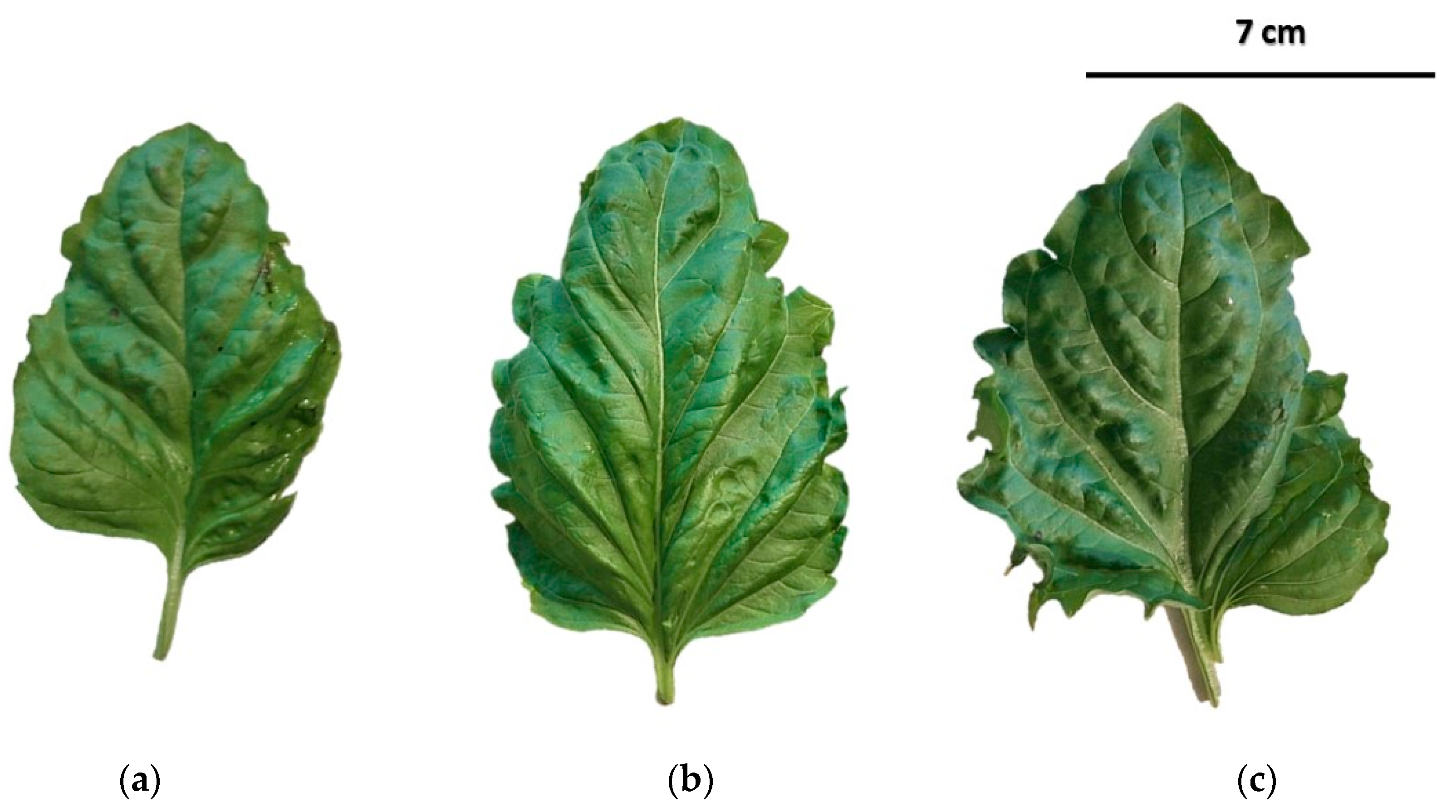 Horticulturae 10 01231 g002