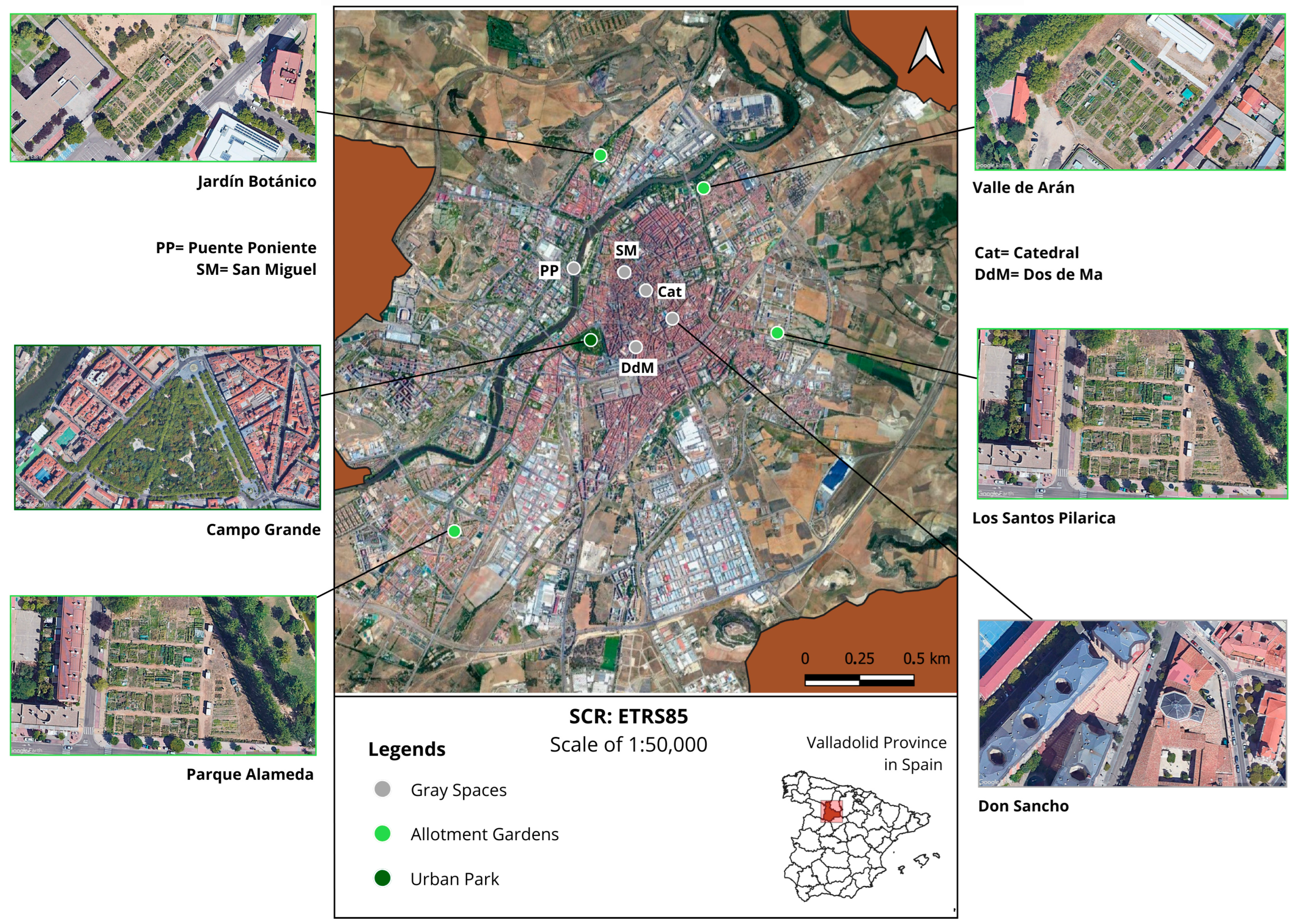 Horticulturae 10 01232 g001