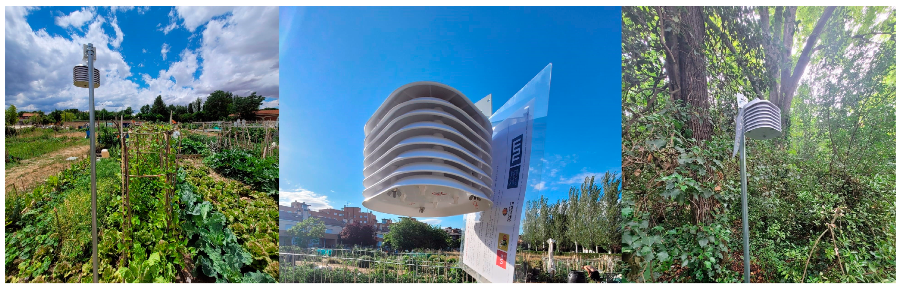 Horticulturae 10 01232 g003