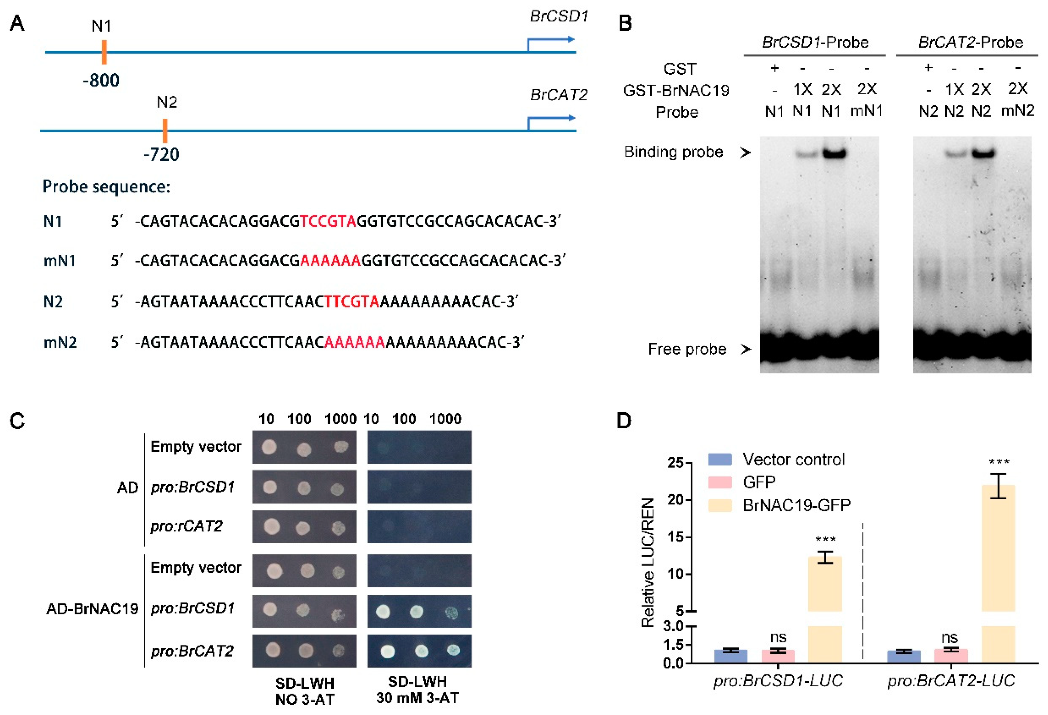 Horticulturae 10 01236 g005