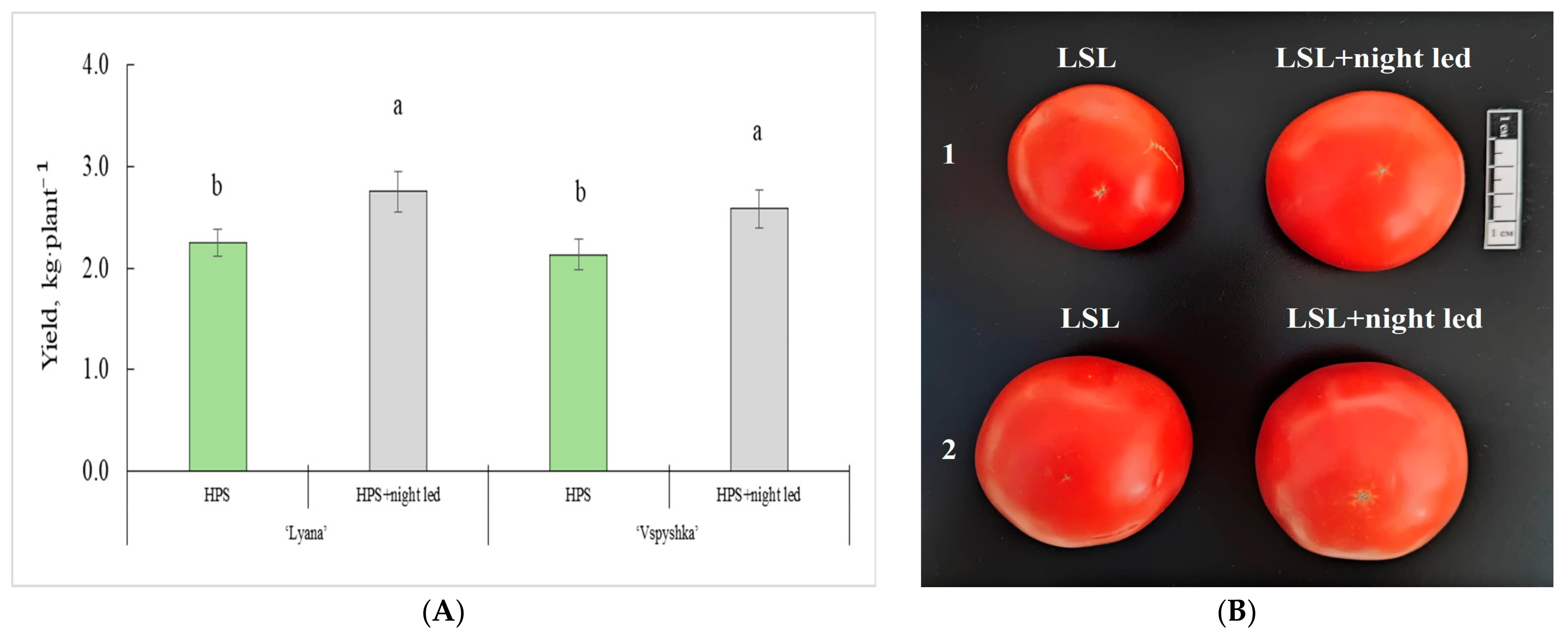 Horticulturae 10 01259 g005