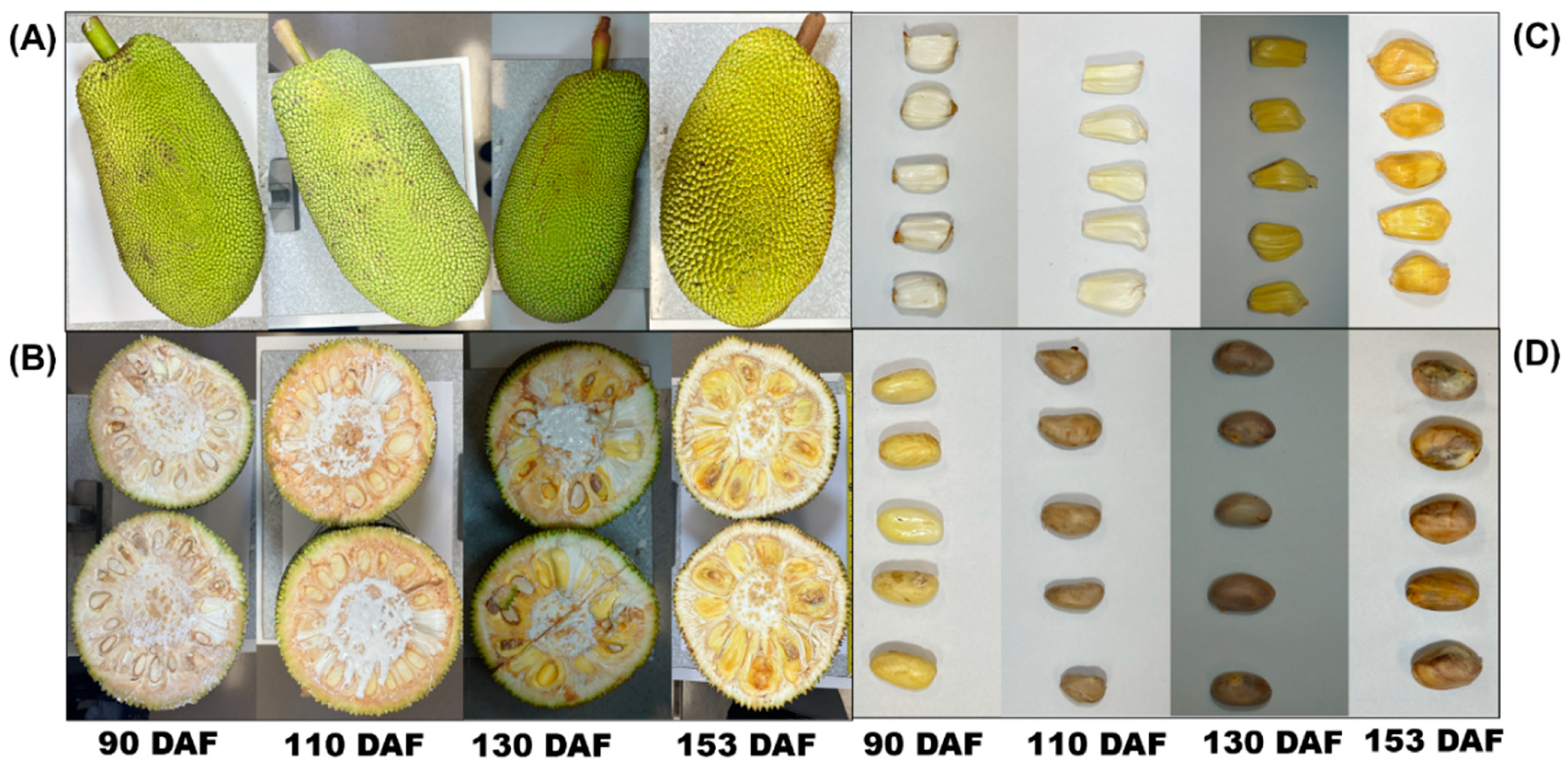 Horticulturae 10 01264 g002