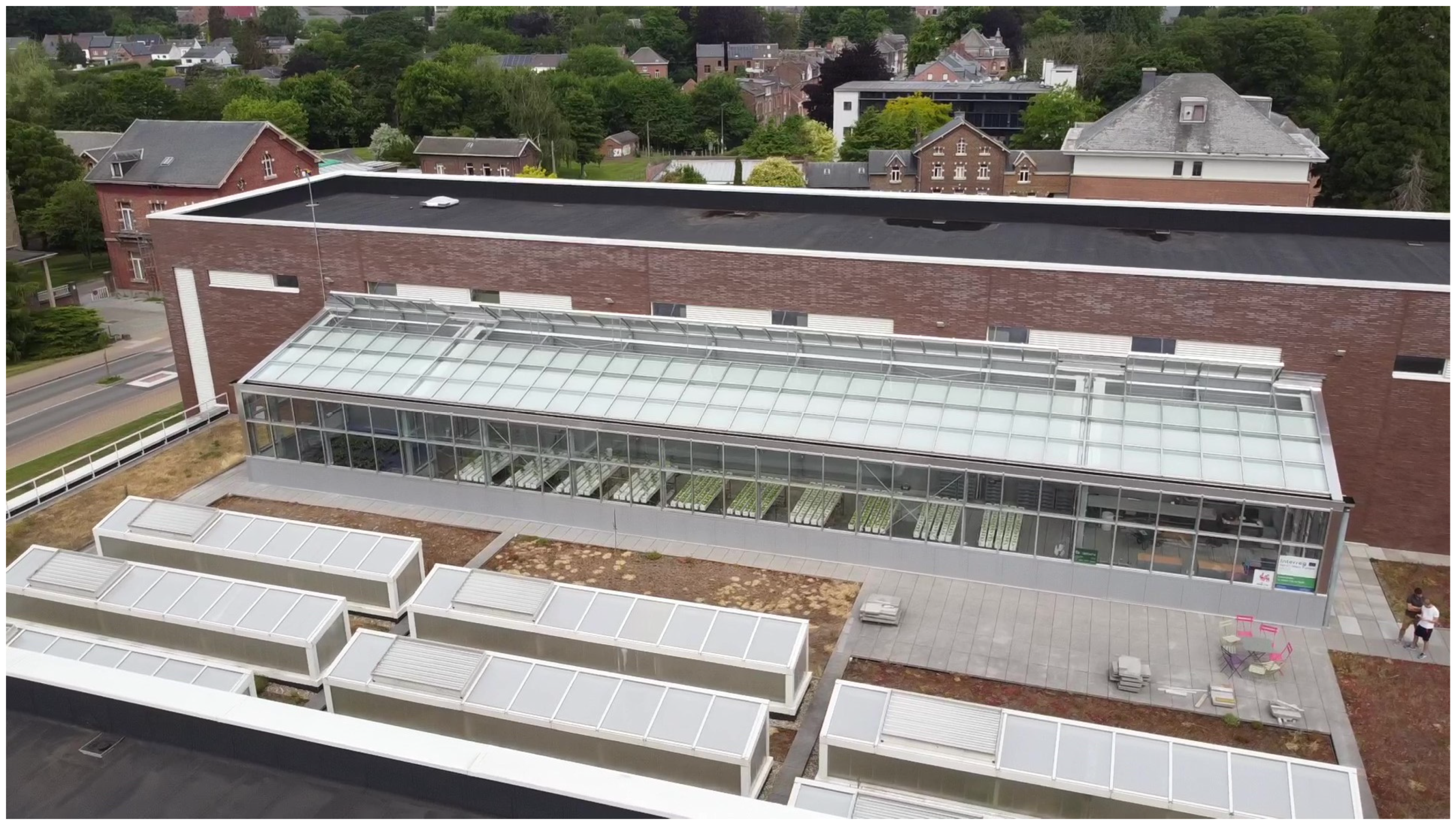 Horticulturae 10 01271 g001