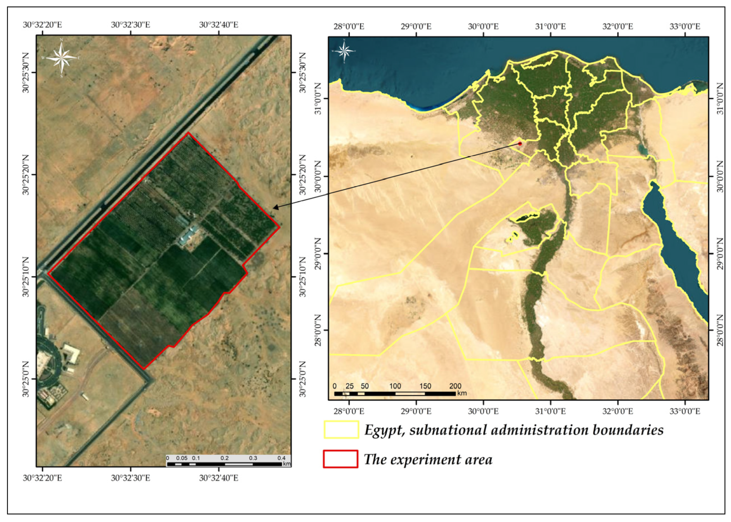 Horticulturae 10 01272 g001