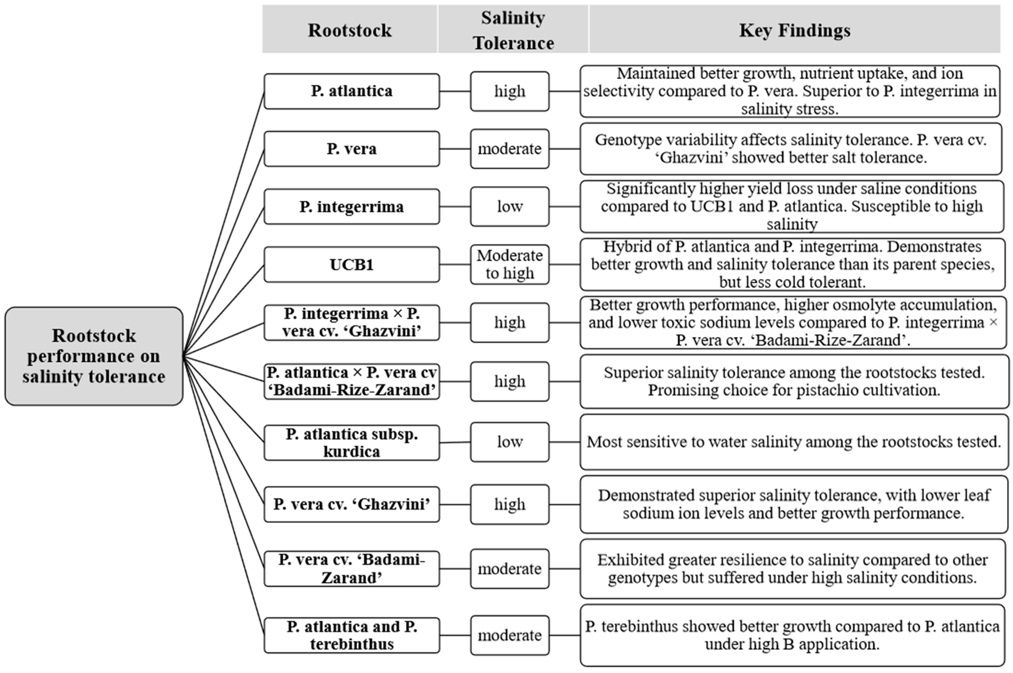 Horticulturae 10 01278 g002