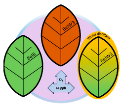 Horticulturae 10 01281 i001