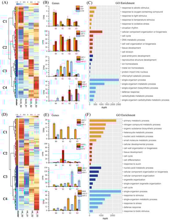 Horticulturae 10 01291 g002
