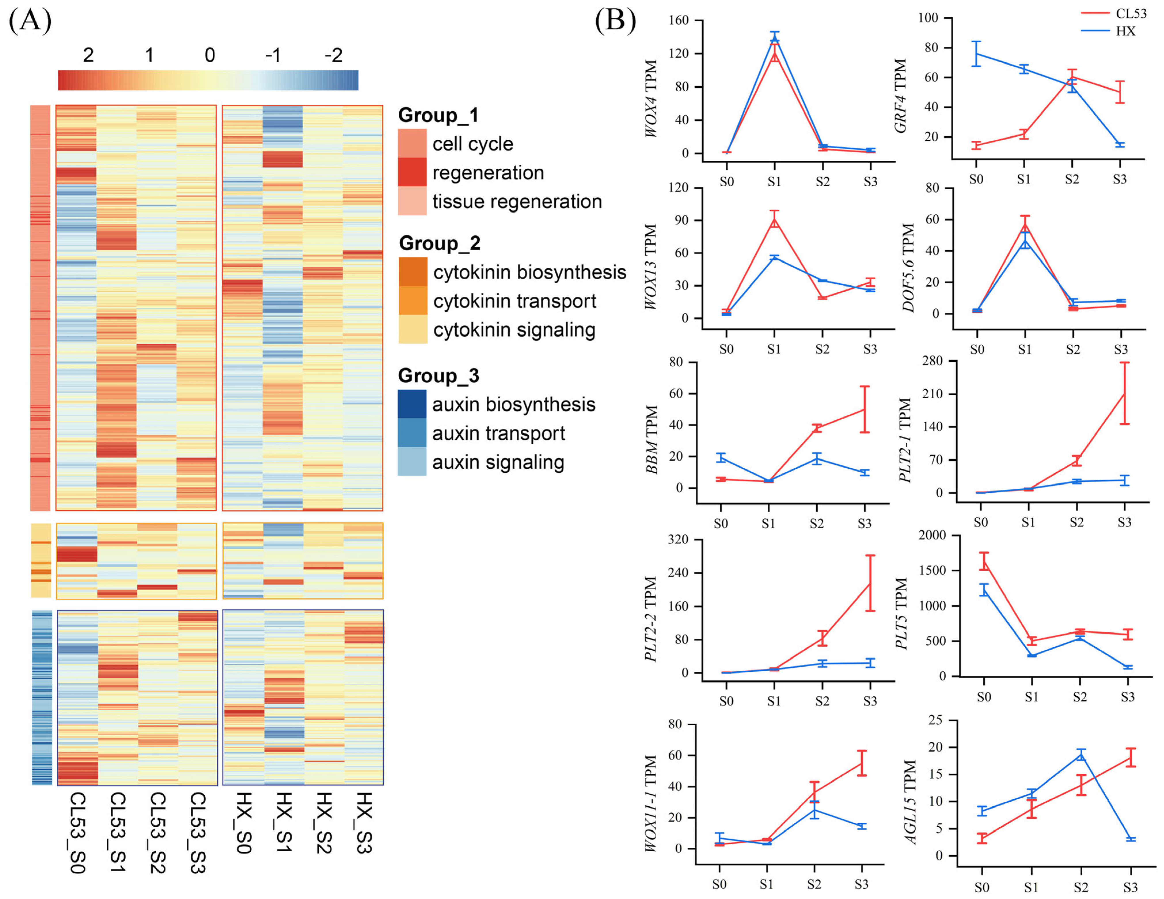 Horticulturae 10 01291 g003