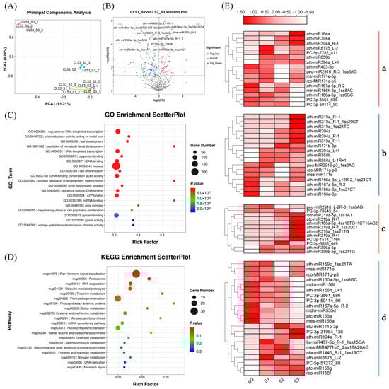Horticulturae 10 01291 g004