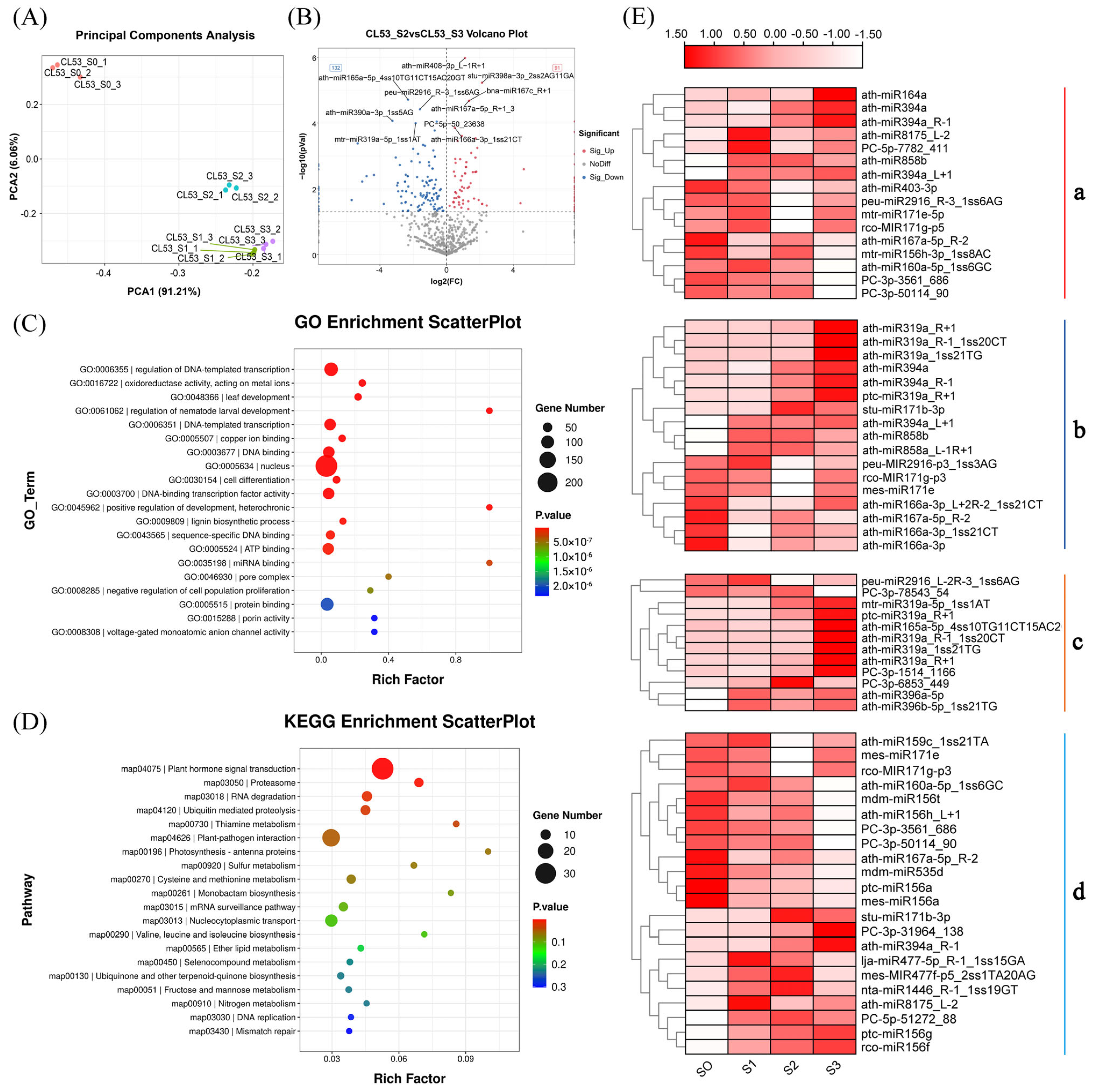 Horticulturae 10 01291 g004