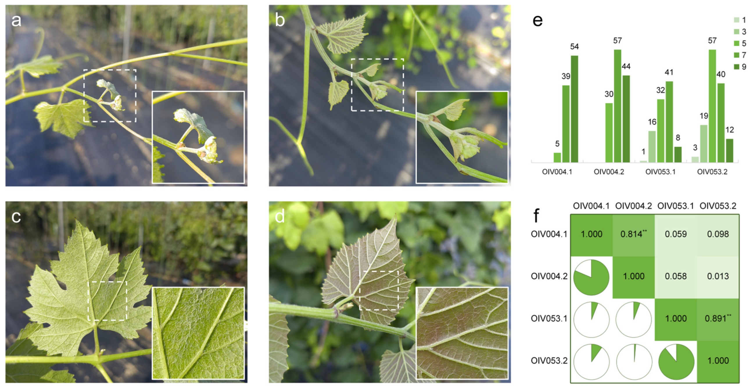 Horticulturae 10 01309 g001