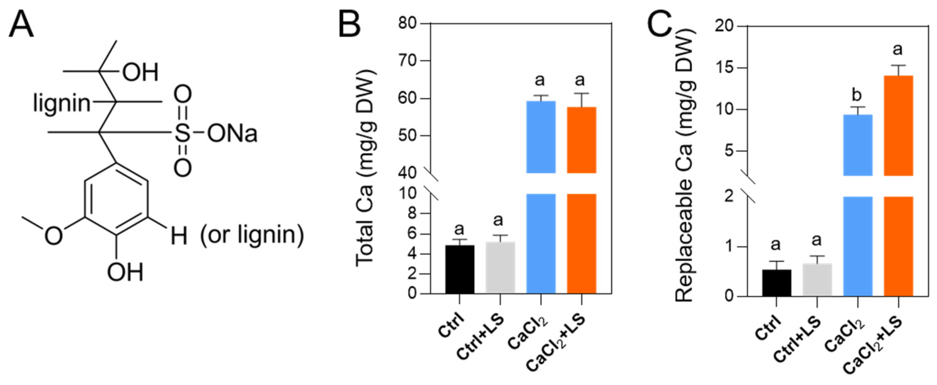 Horticulturae 10 01328 g001