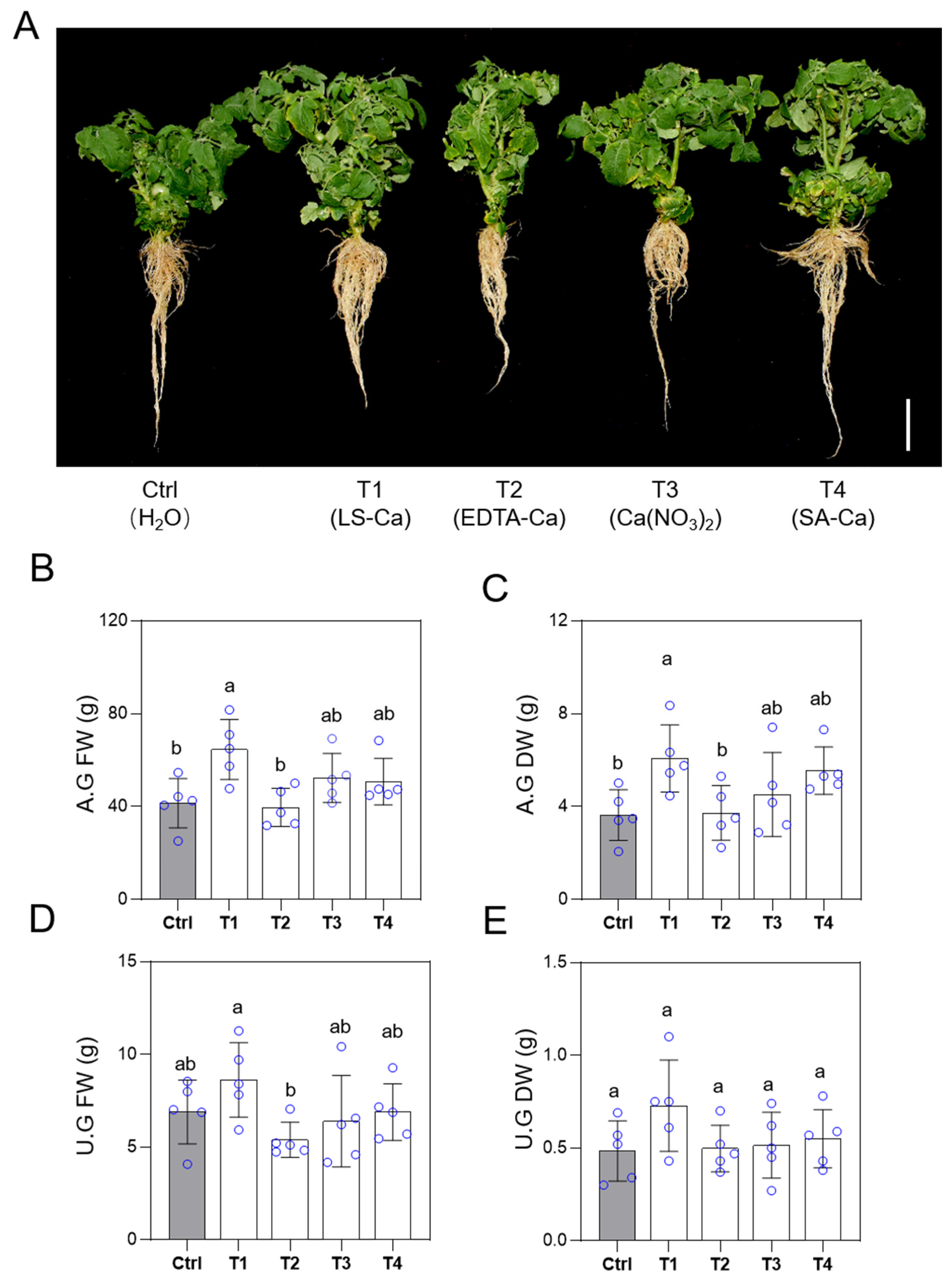 Horticulturae 10 01328 g002