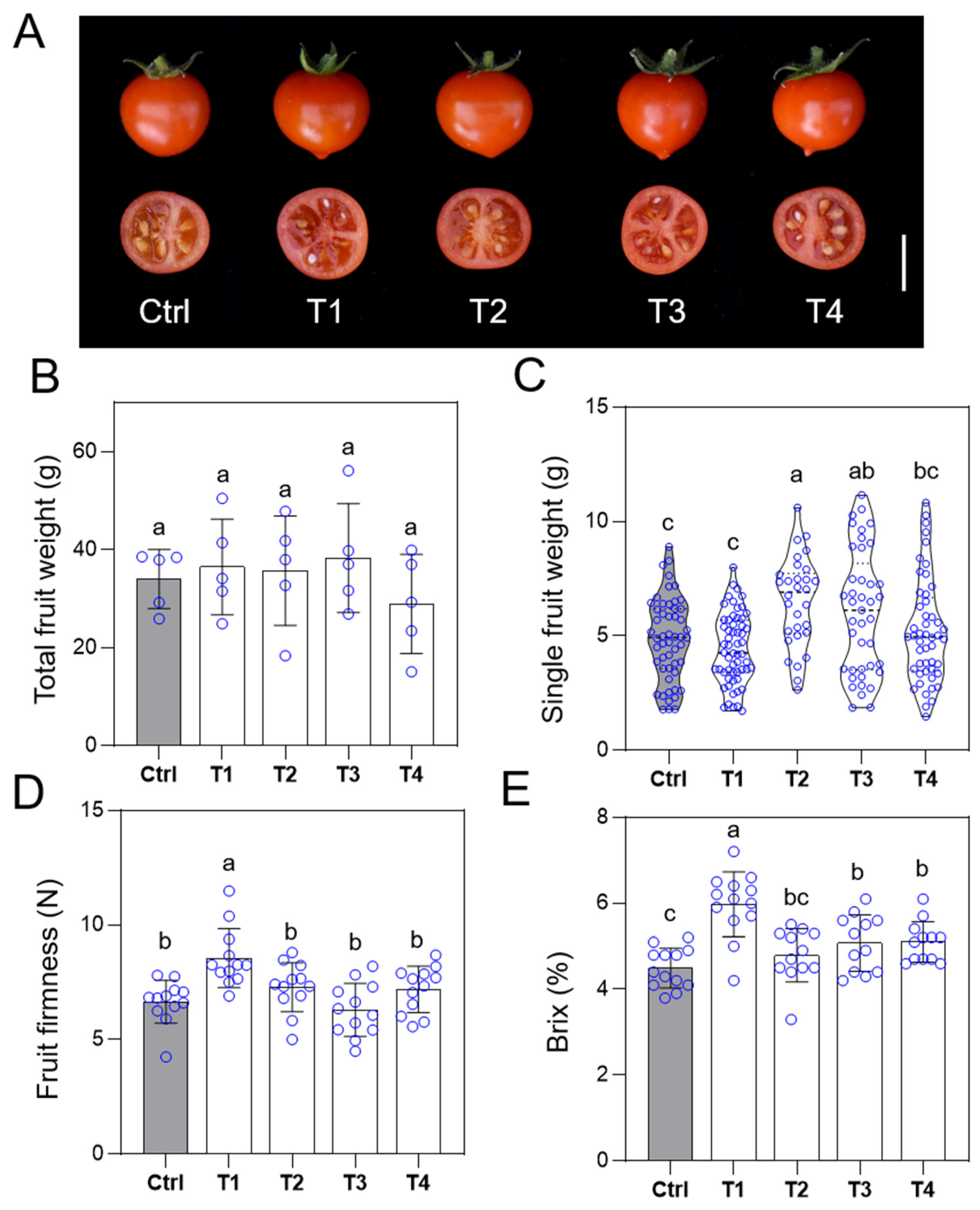 Horticulturae 10 01328 g005