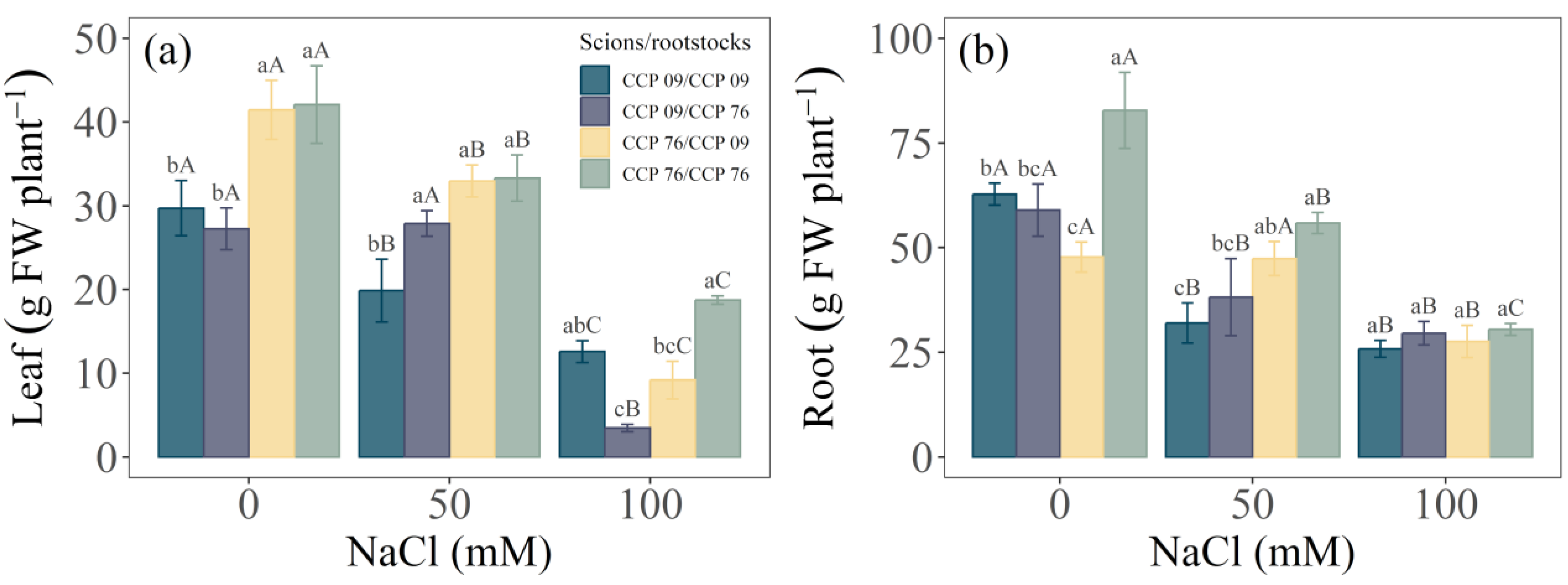 Horticulturae 10 01341 g001