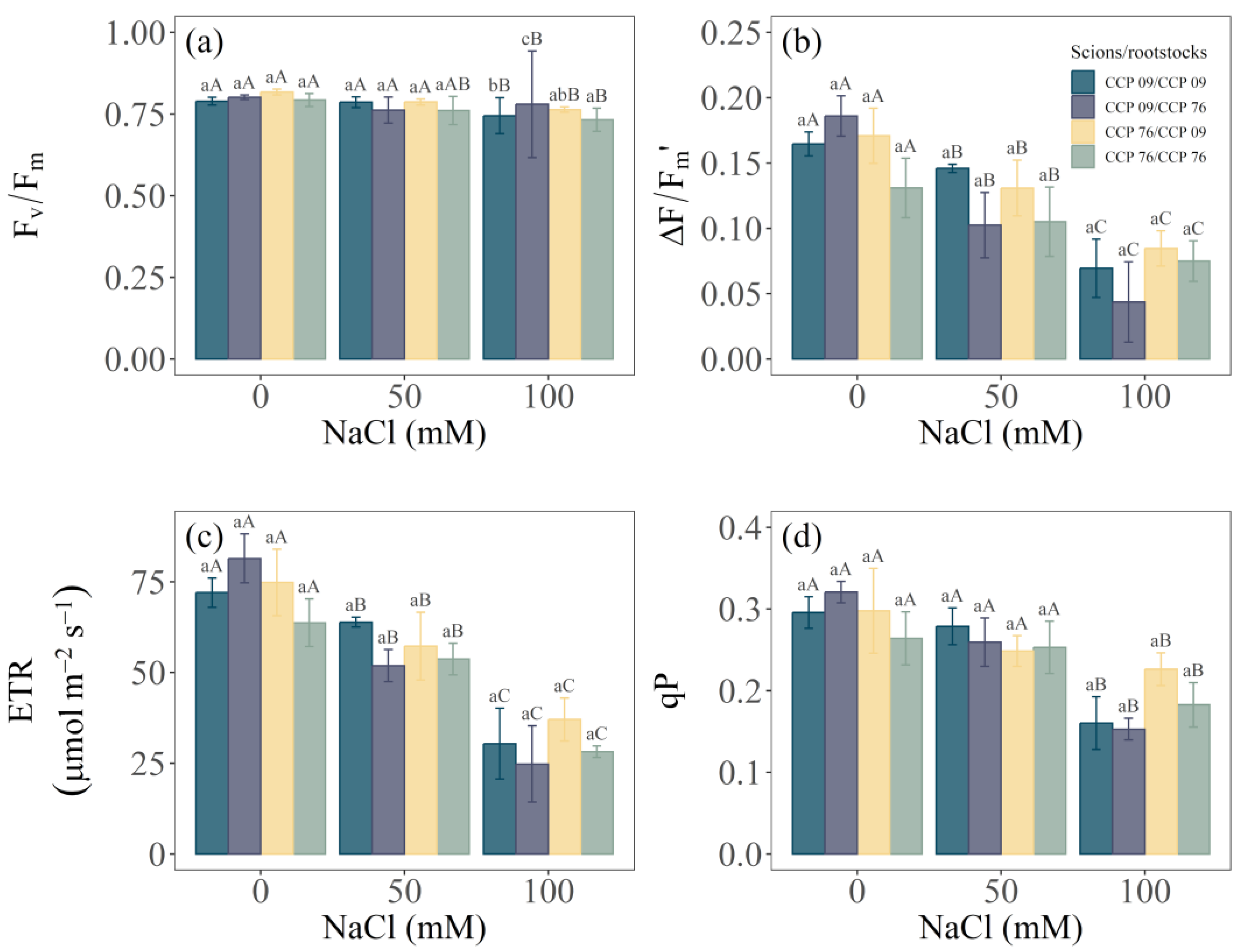 Horticulturae 10 01341 g003