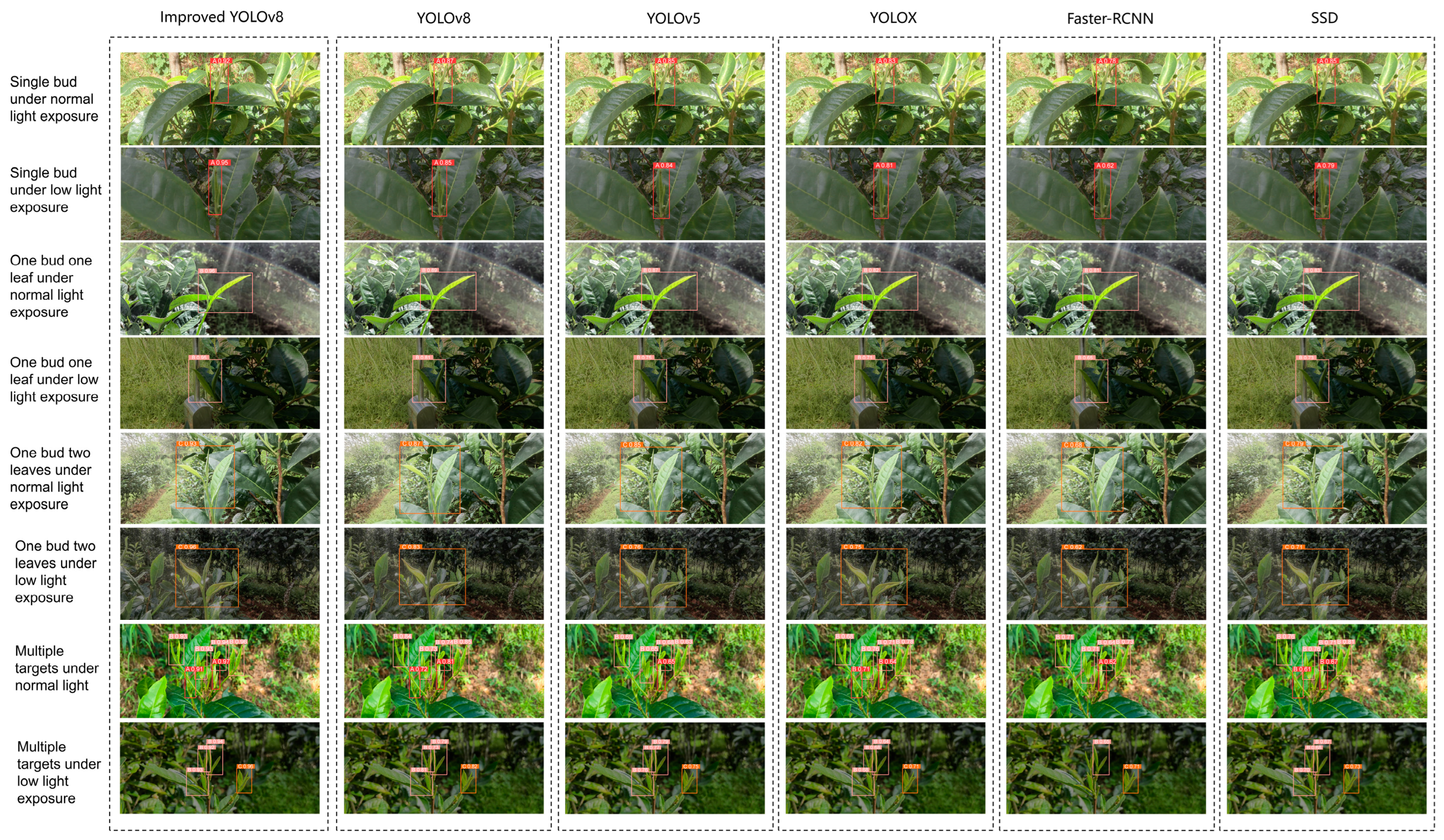 Horticulturae 10 01347 g012