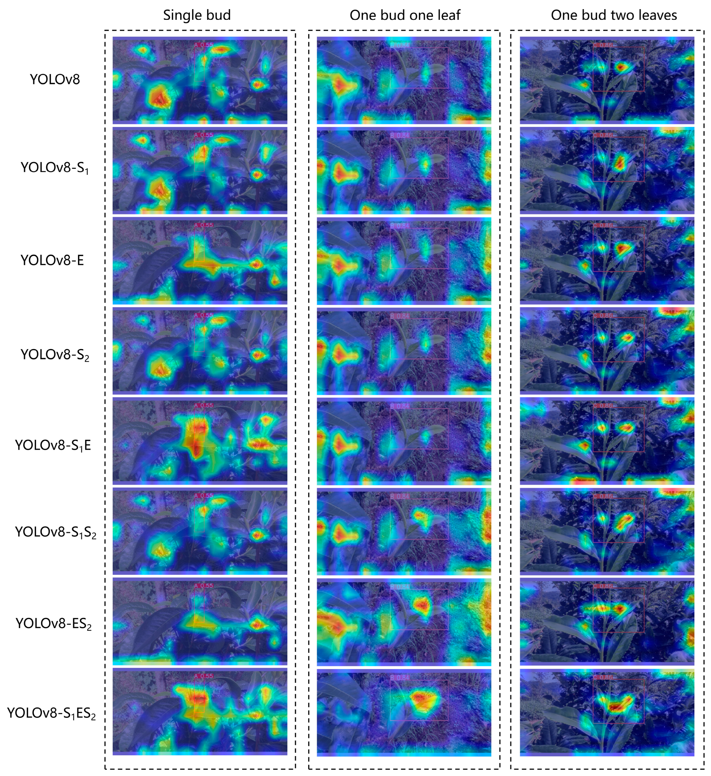 Horticulturae 10 01347 g014