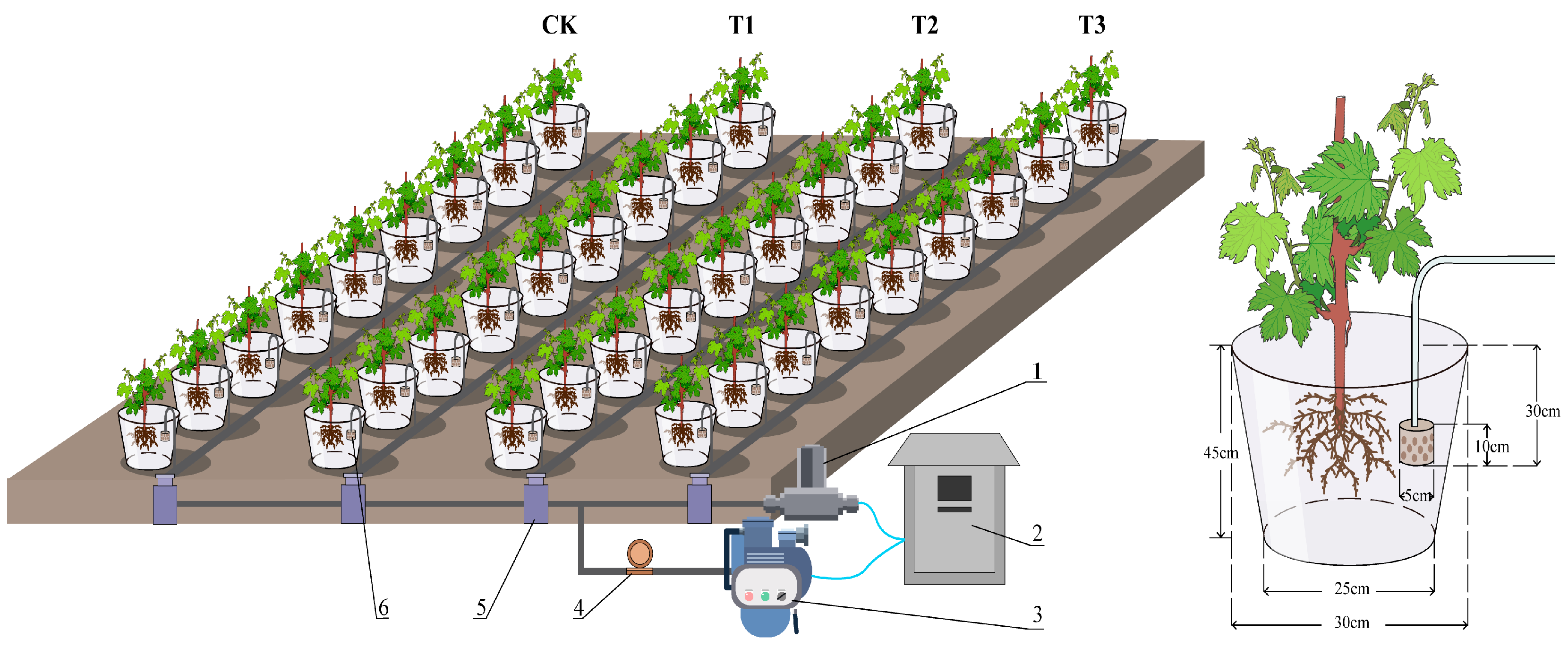 Horticulturae 10 01351 g001