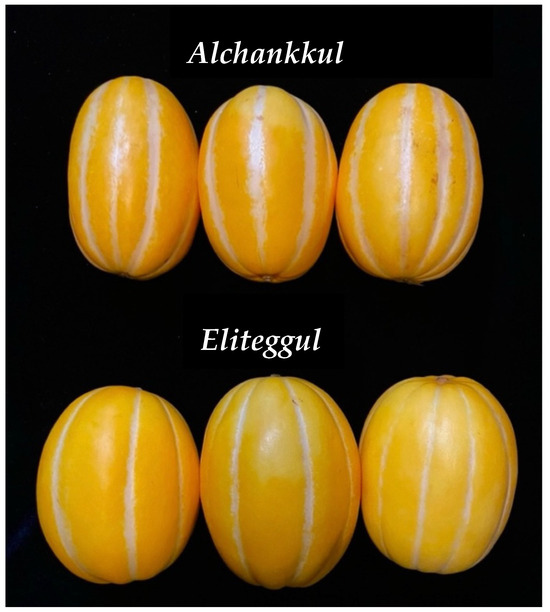 Horticulturae 10 01354 g0a1