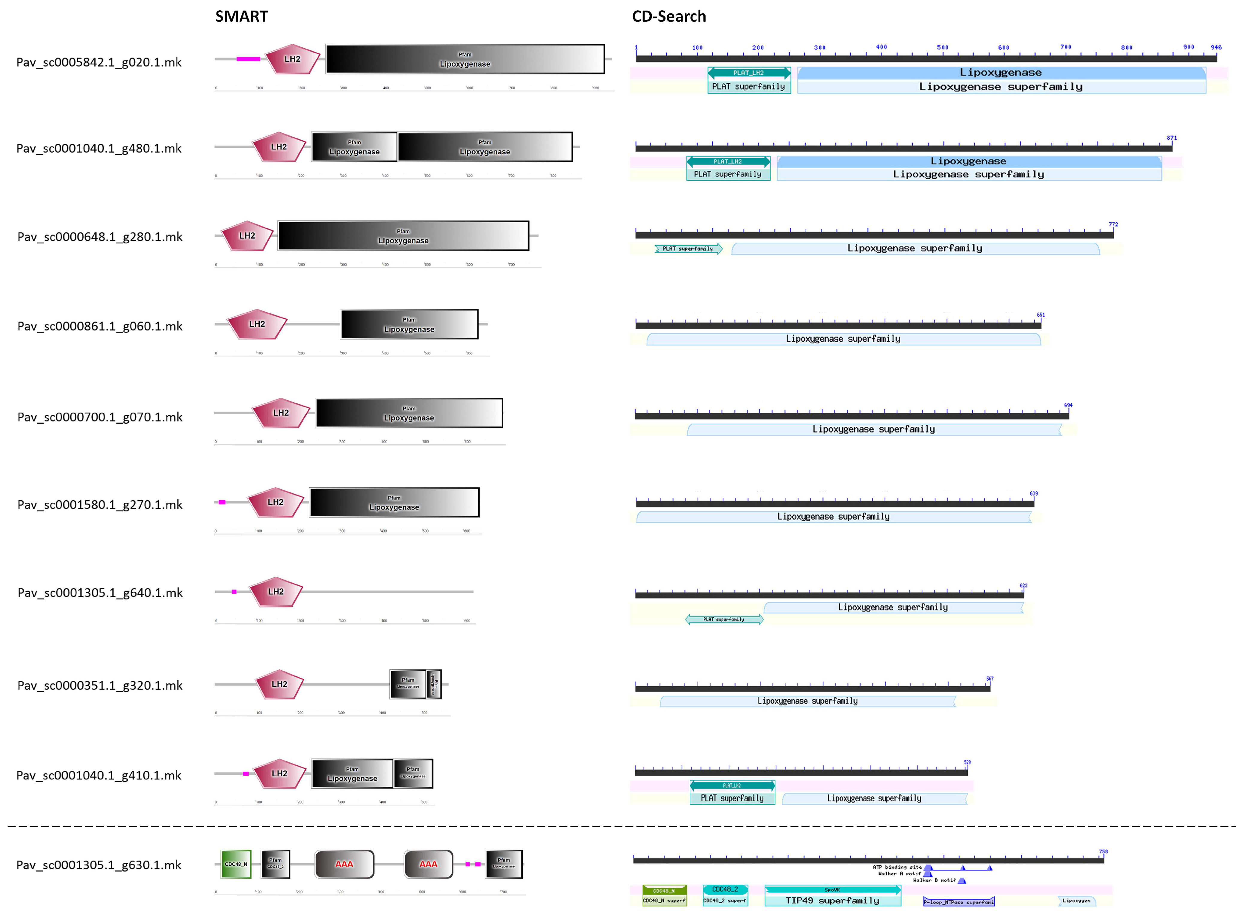 Horticulturae 10 01361 g001