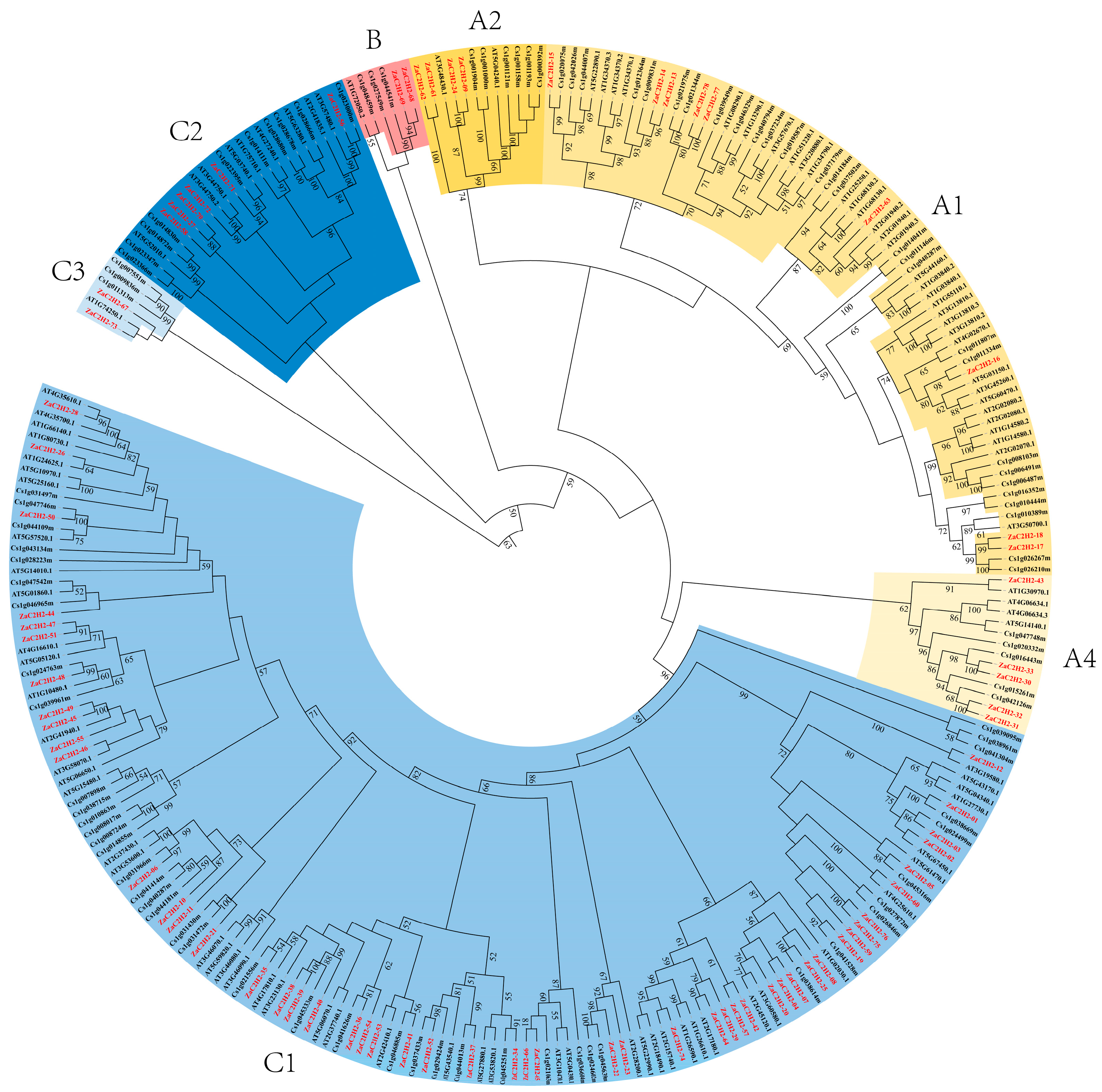 Horticulturae 10 01371 g001
