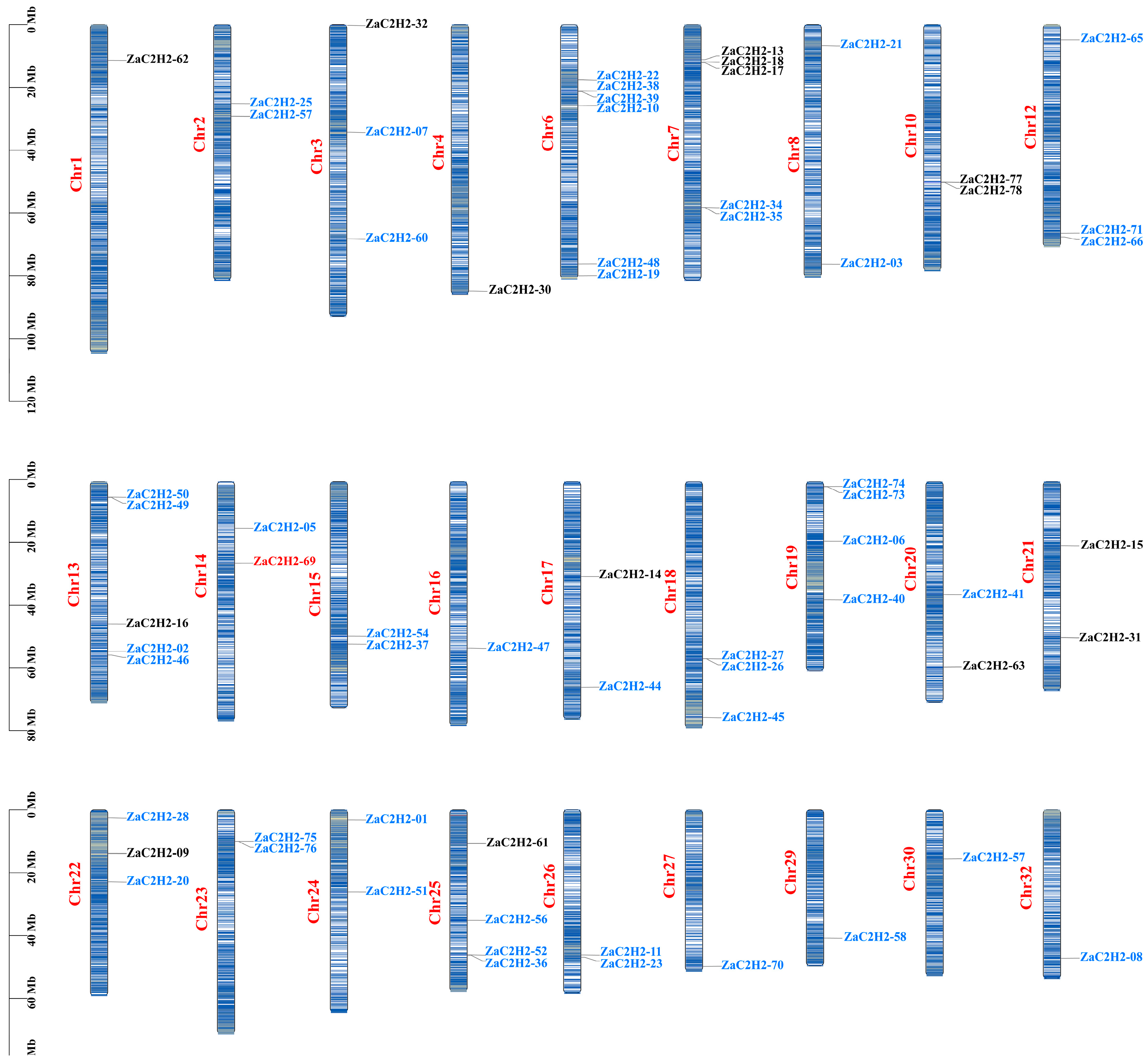Horticulturae 10 01371 g002