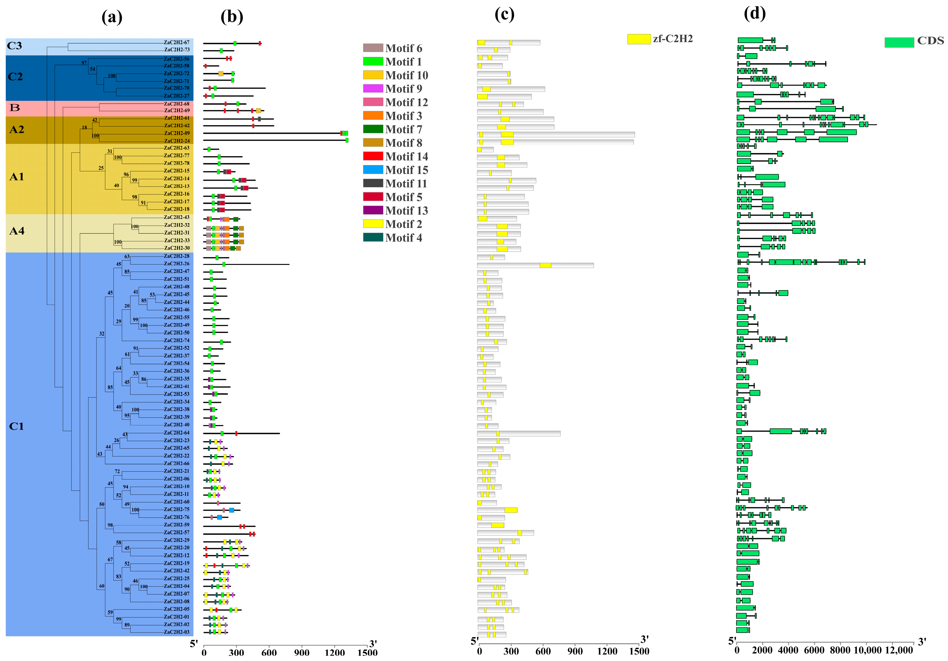 Horticulturae 10 01371 g003