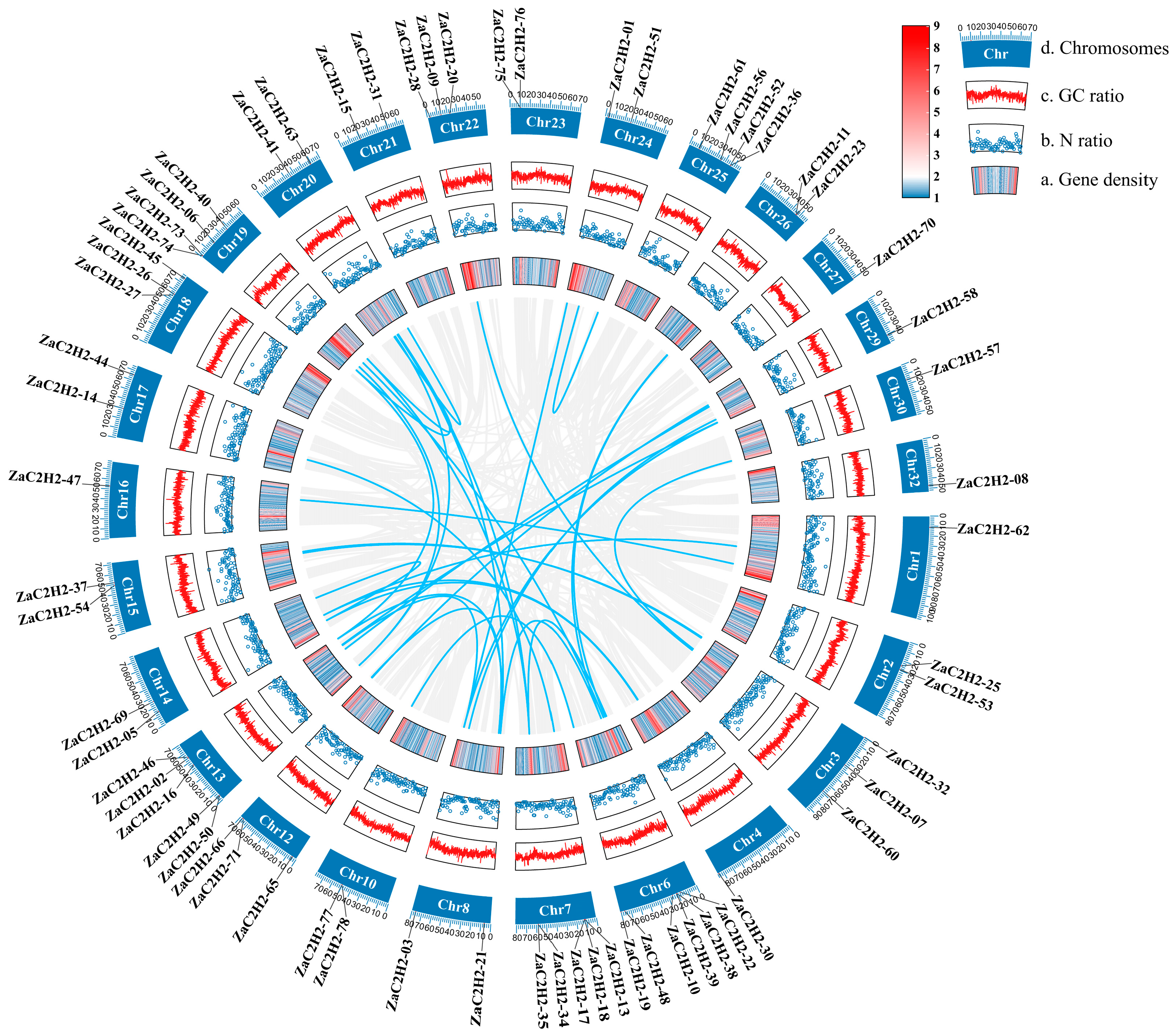 Horticulturae 10 01371 g005