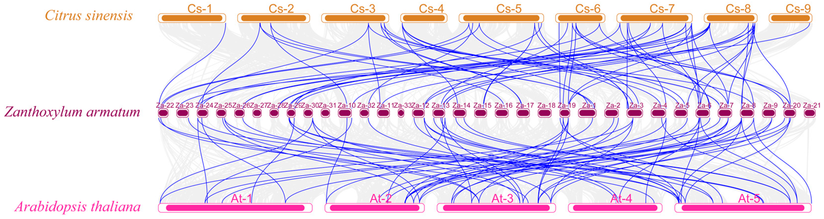 Horticulturae 10 01371 g006