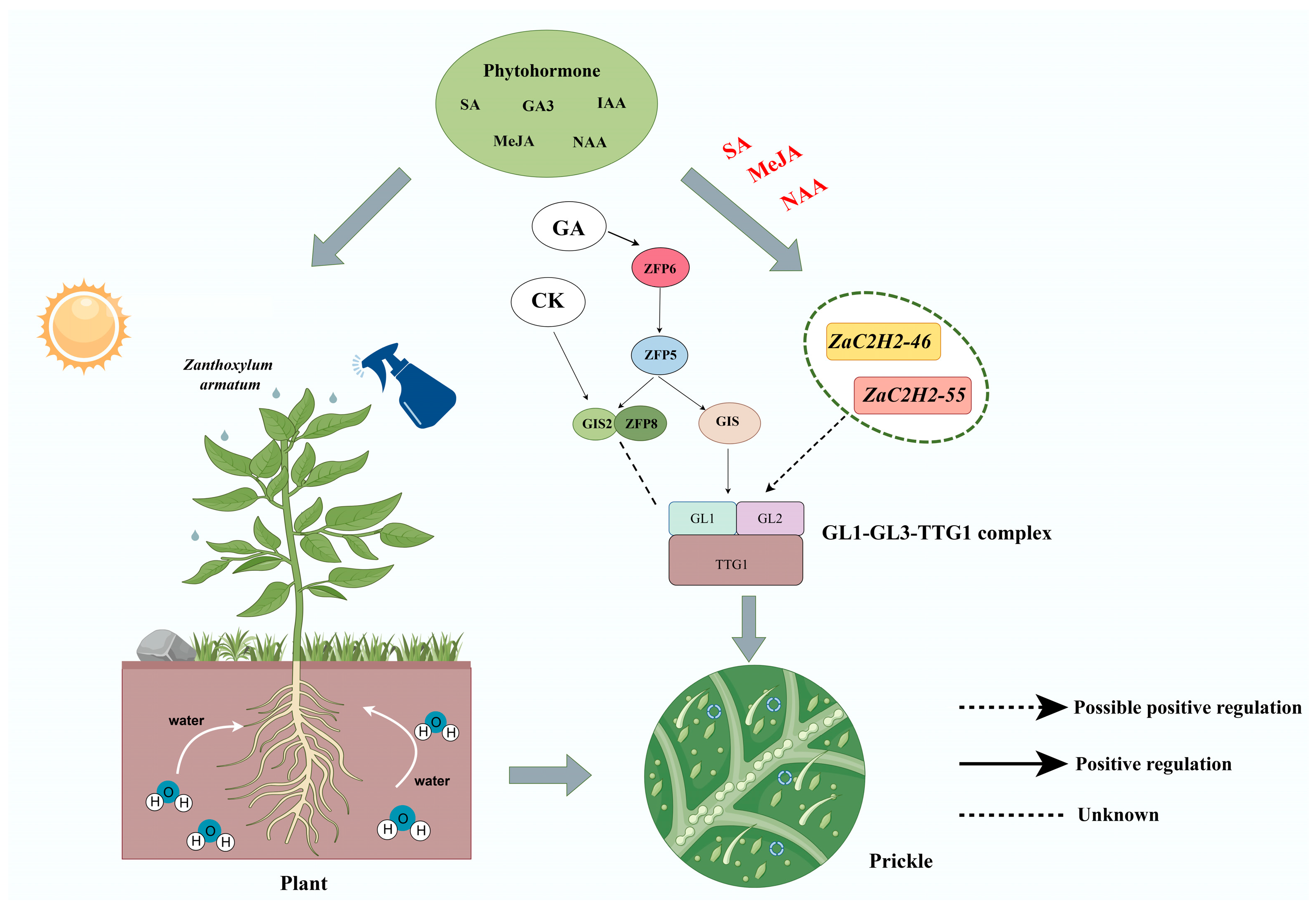 Horticulturae 10 01371 g008
