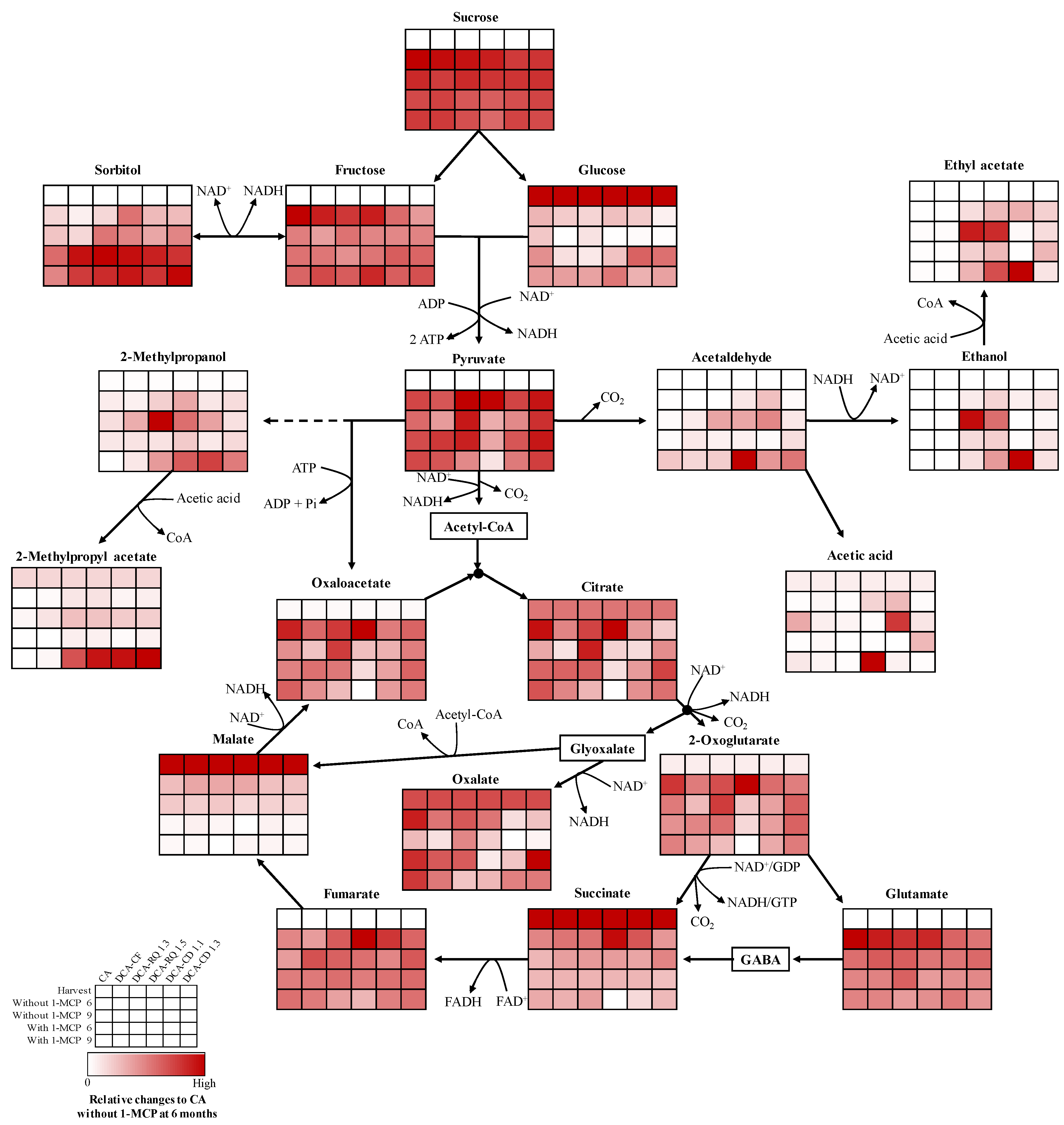 Horticulturae 10 01372 g003