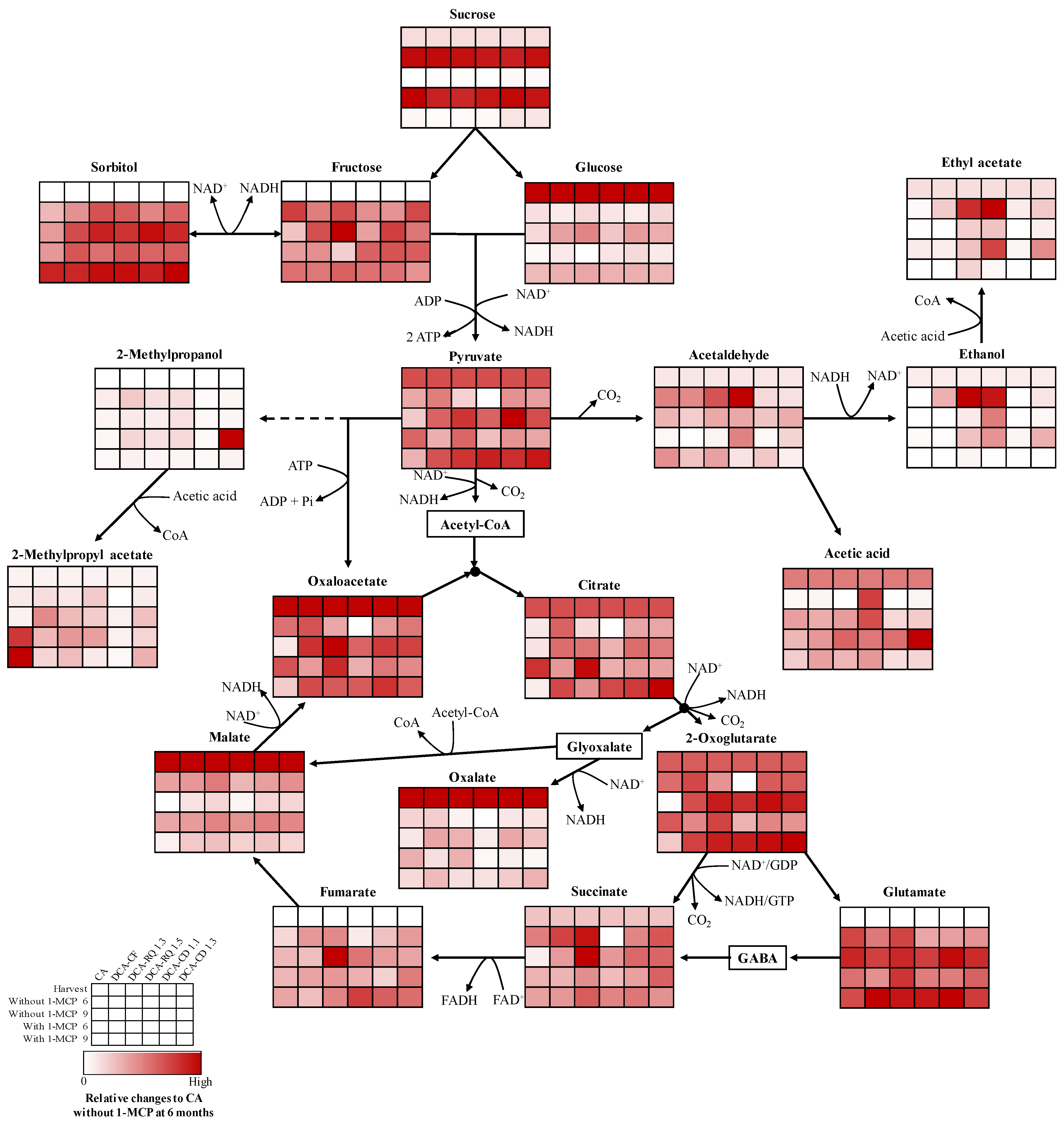 Horticulturae 10 01372 g004