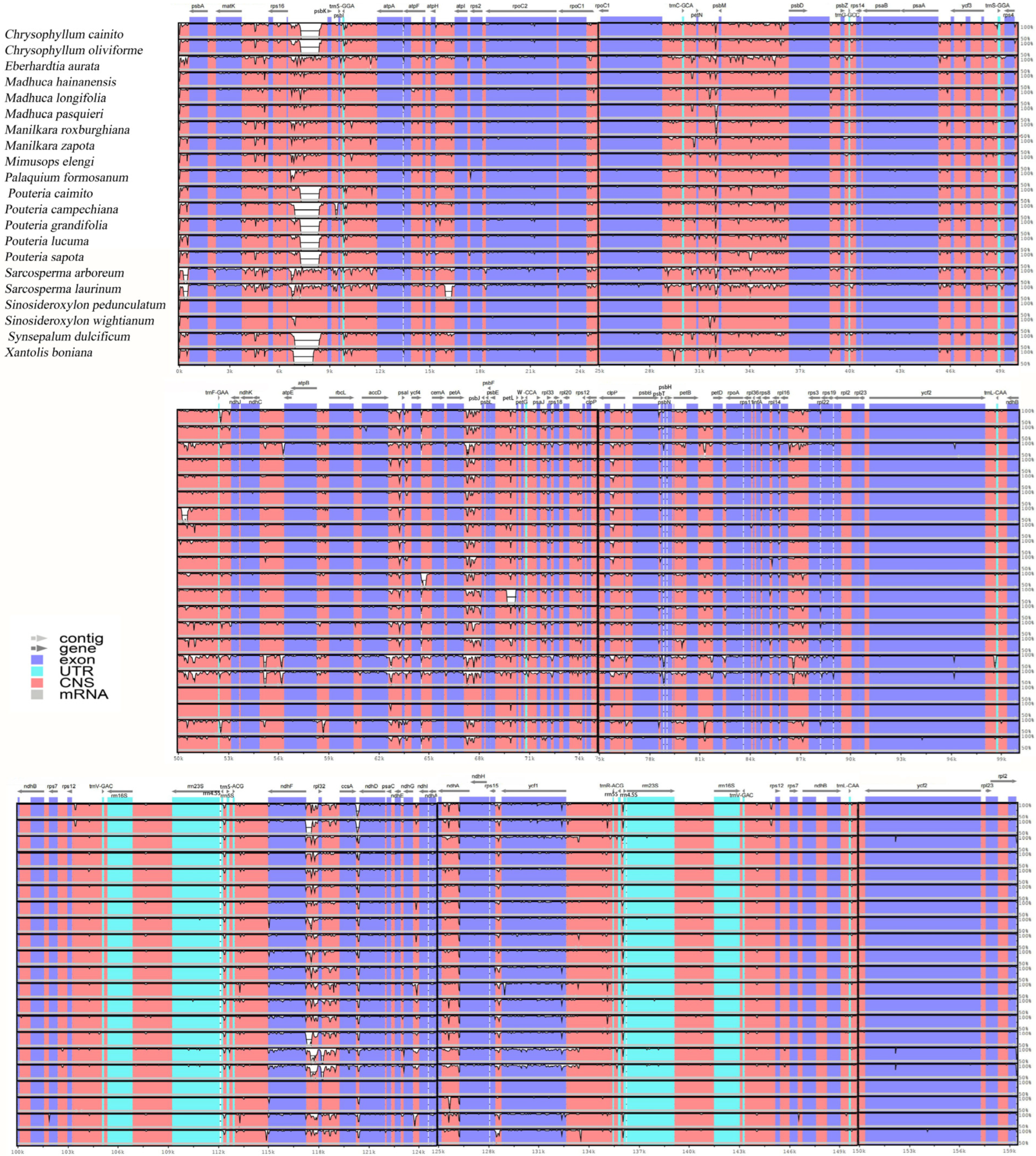 Horticulturae 10 01375 g002