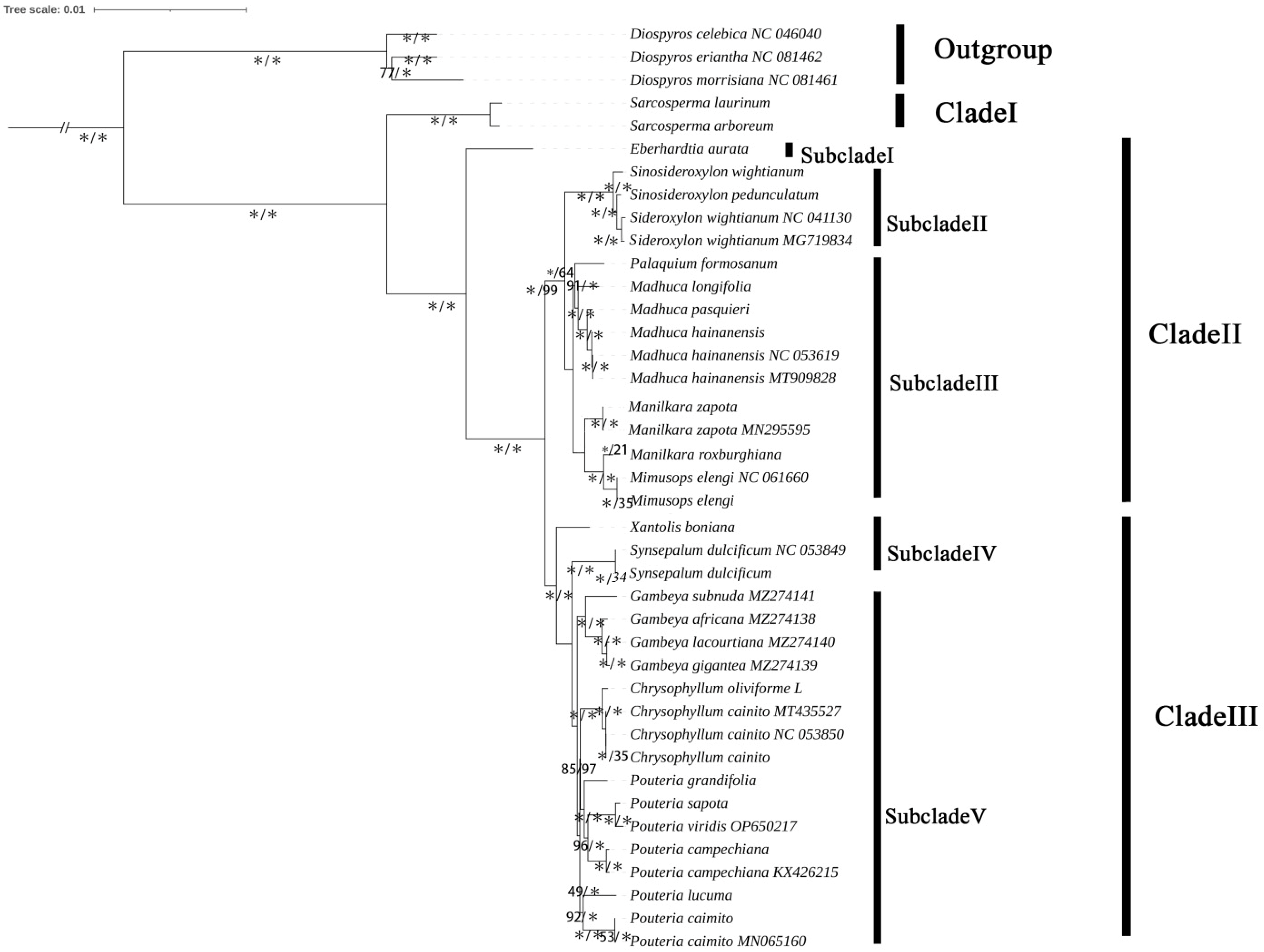 Horticulturae 10 01375 g004