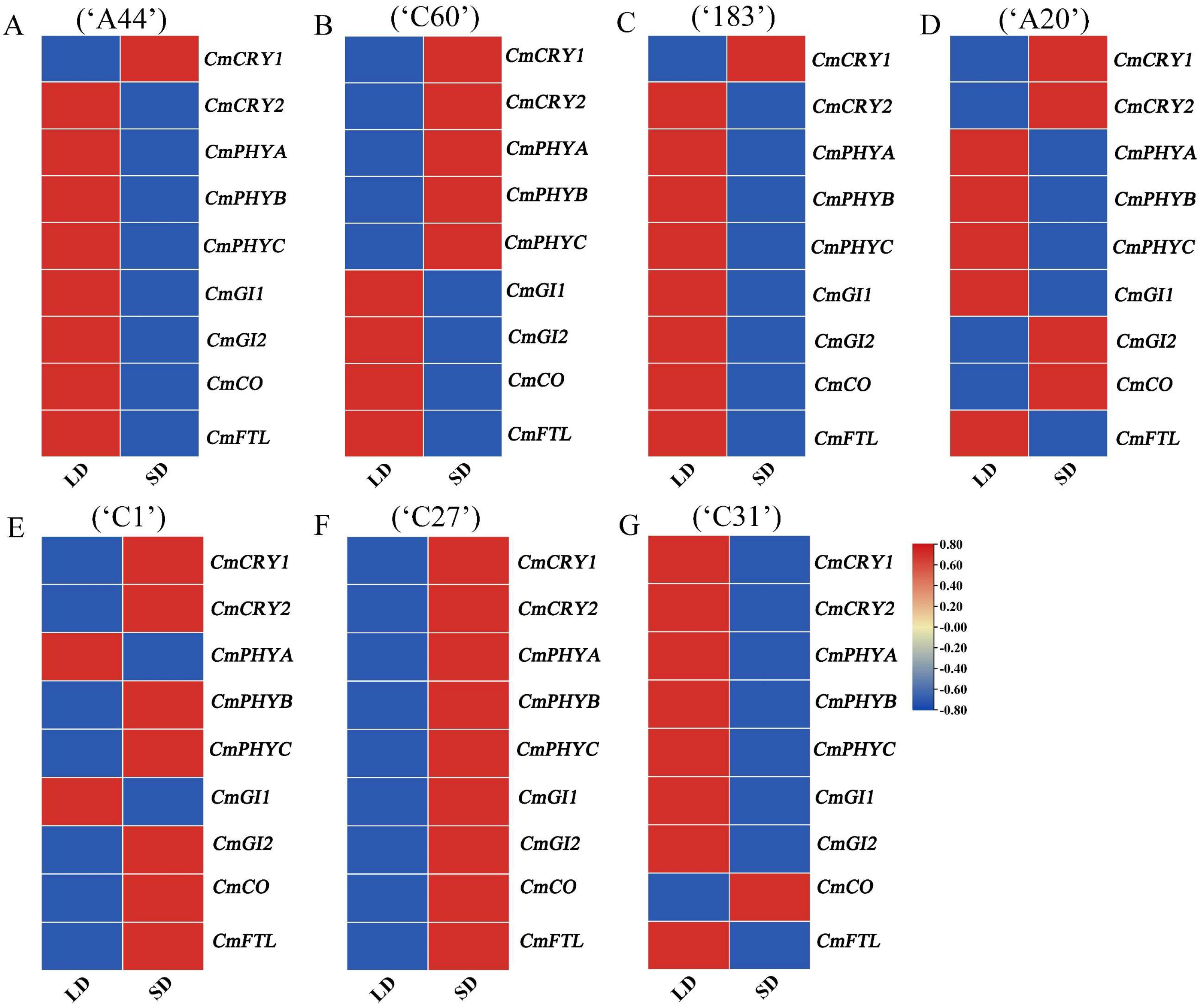 Horticulturae 11 00005 g004
