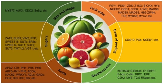 Horticulturae 11 00007 g001