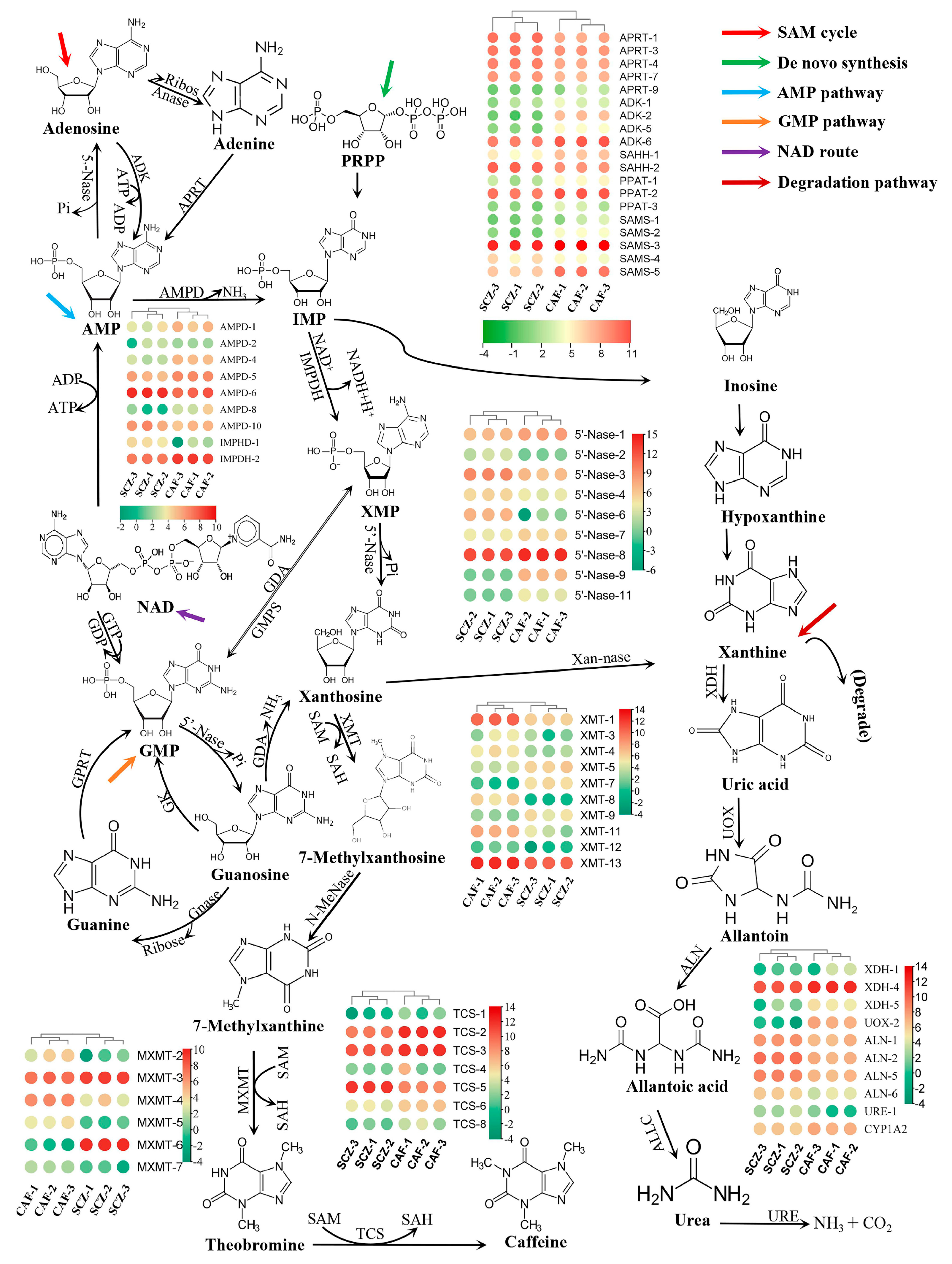 Horticulturae 11 00008 g005