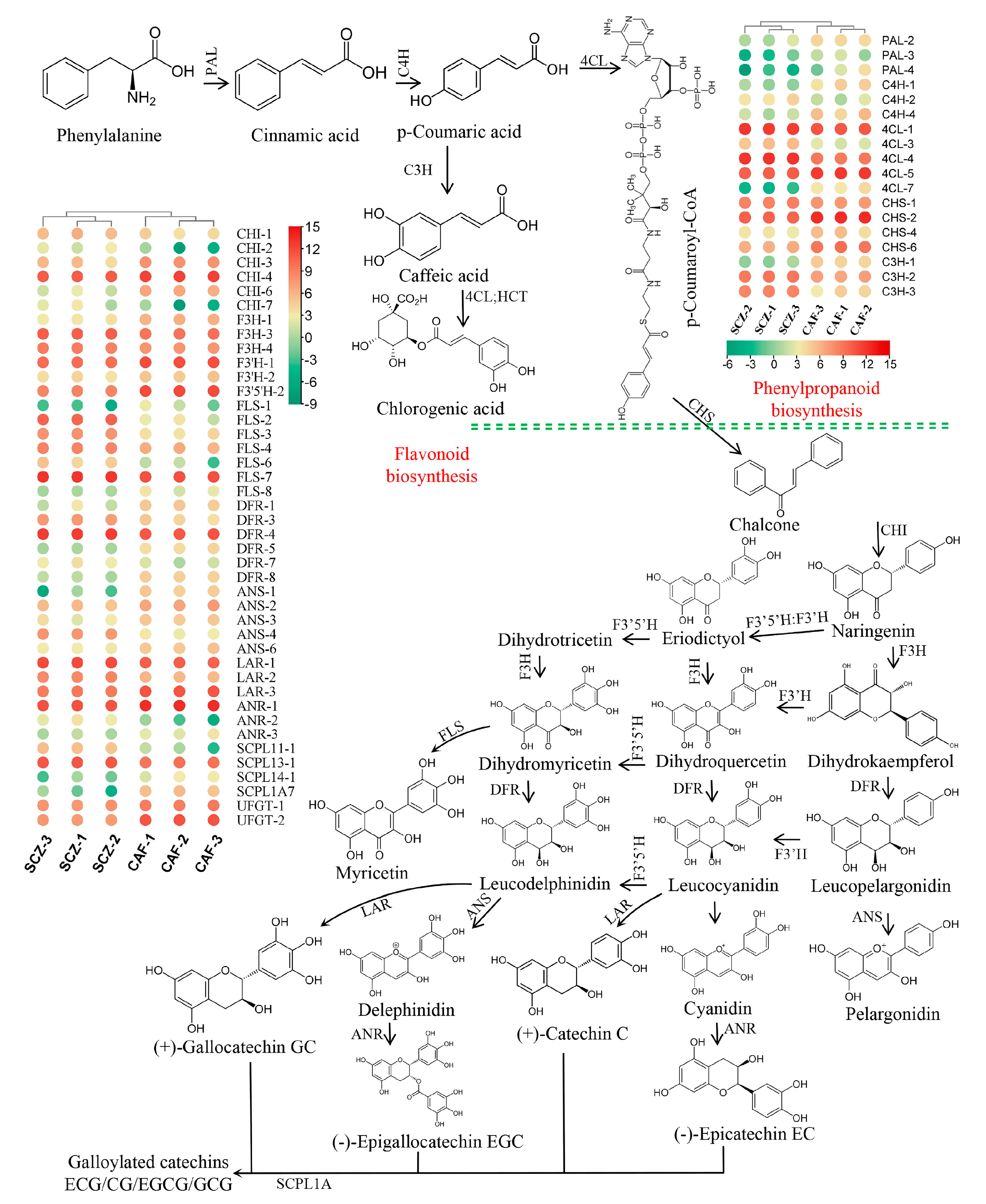 Horticulturae 11 00008 g006