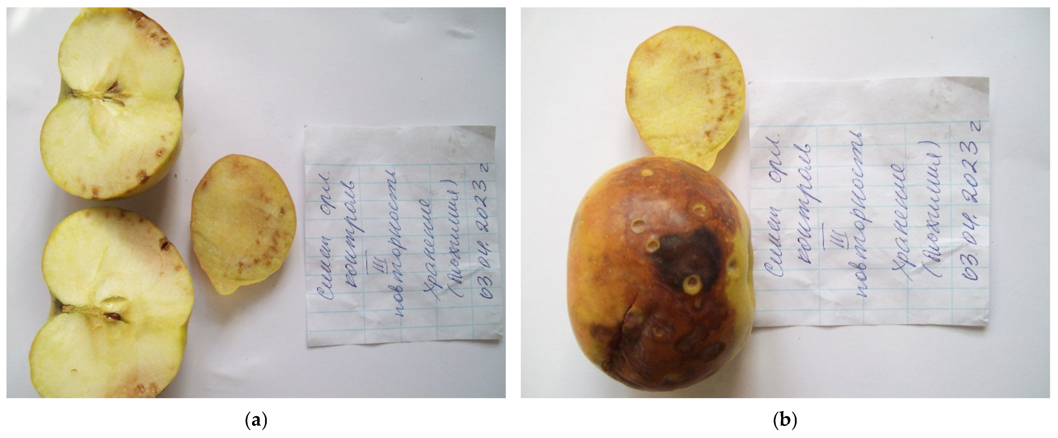 Horticulturae 11 00013 g003