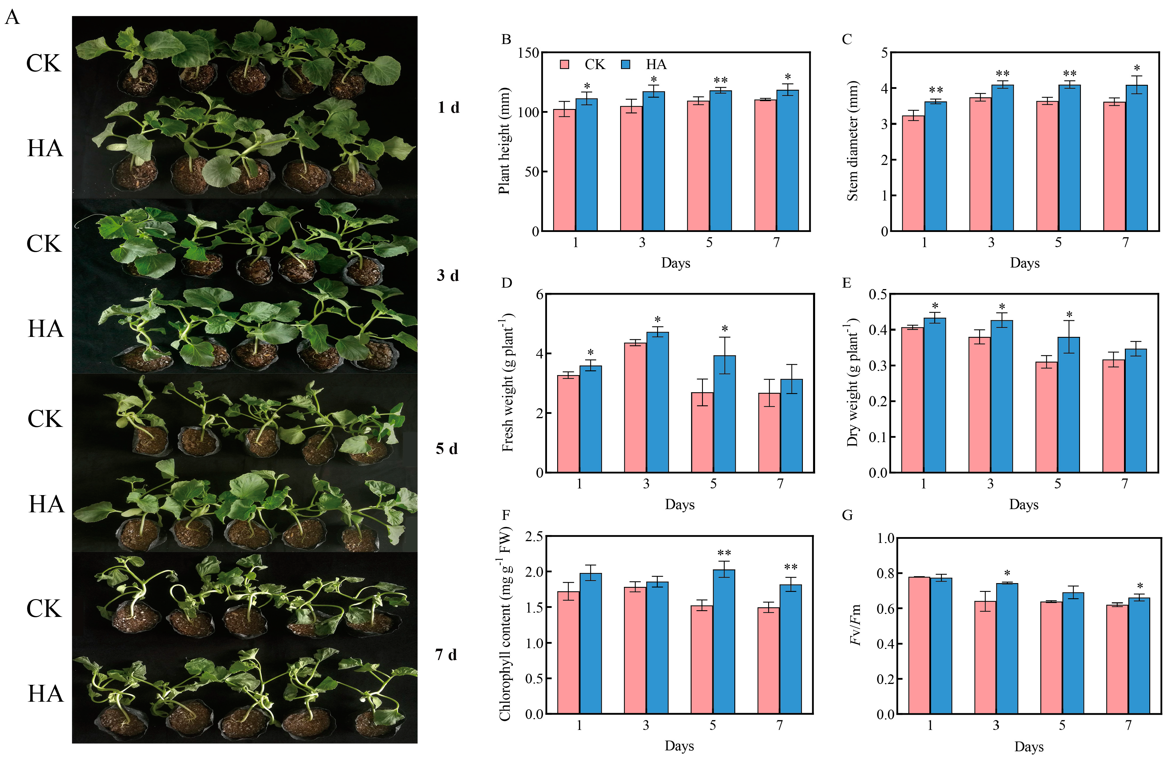 Horticulturae 11 00016 g001