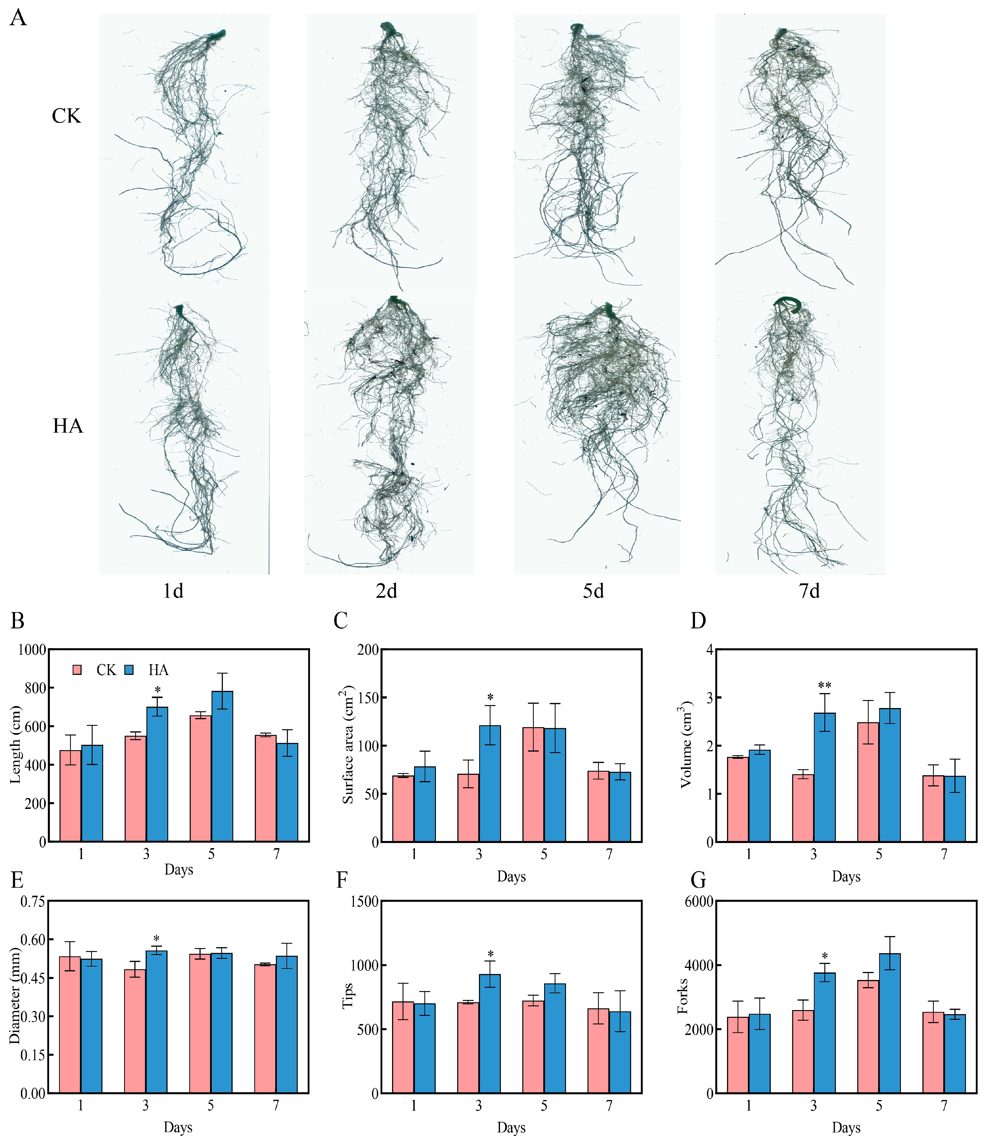 Horticulturae 11 00016 g002