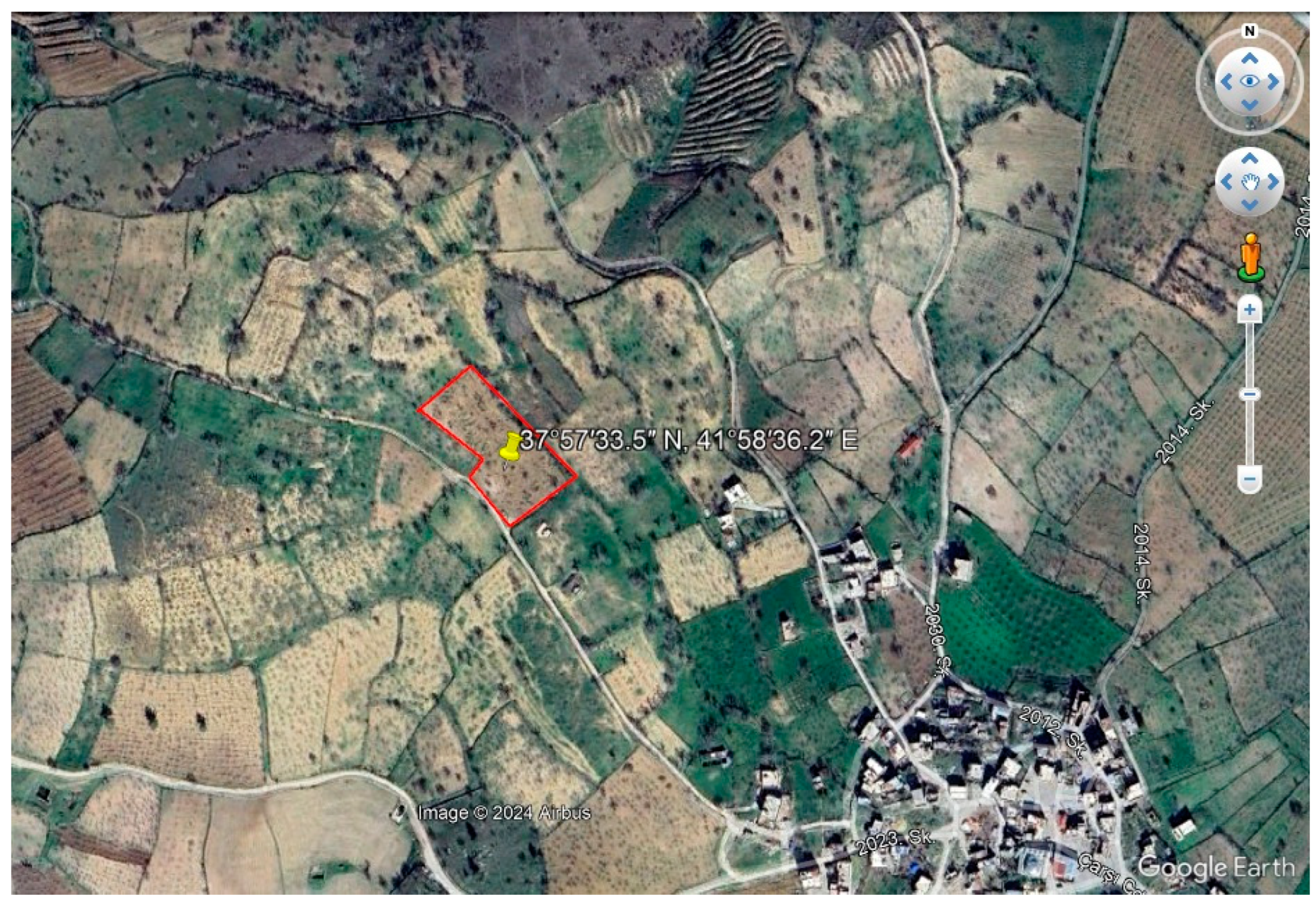 Horticulturae 11 00021 g001