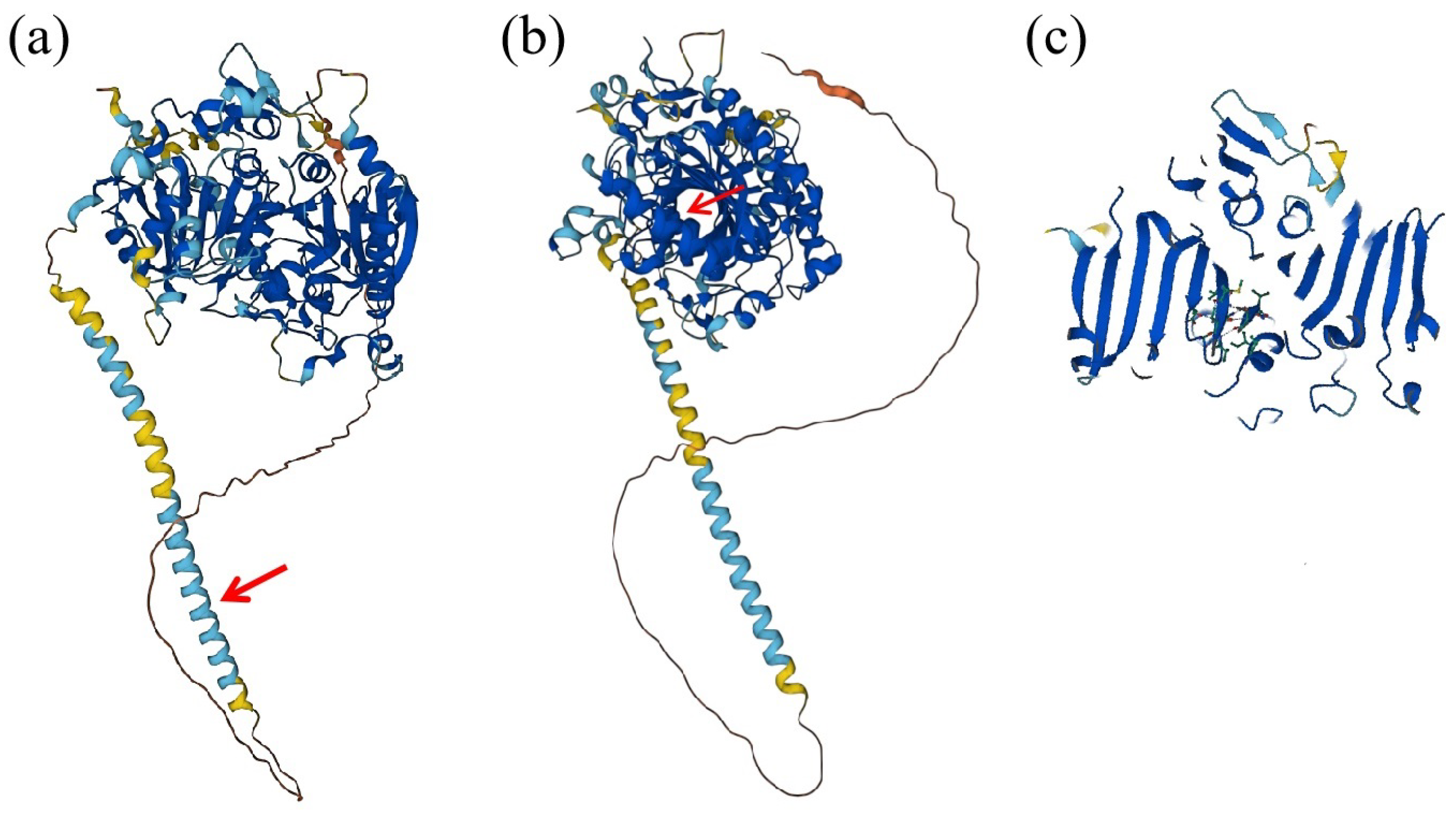 Horticulturae 11 00033 g003 Horticulturae 11 00033 g003