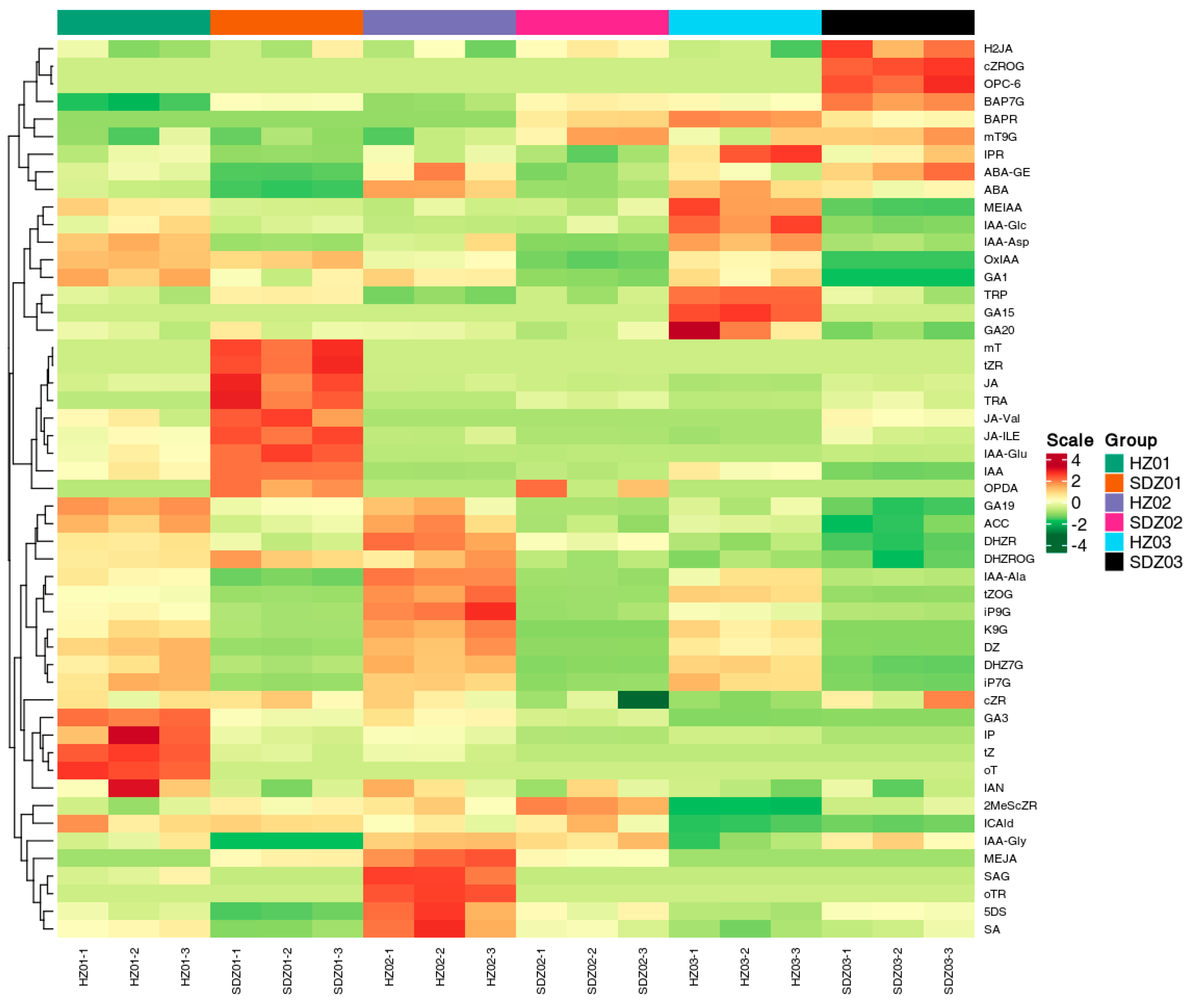 Horticulturae 11 00038 g003