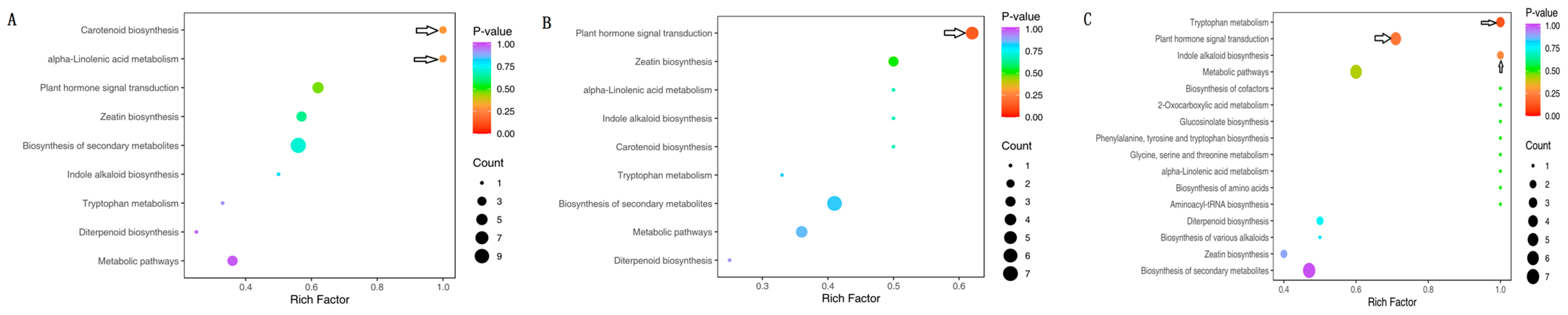 Horticulturae 11 00038 g005