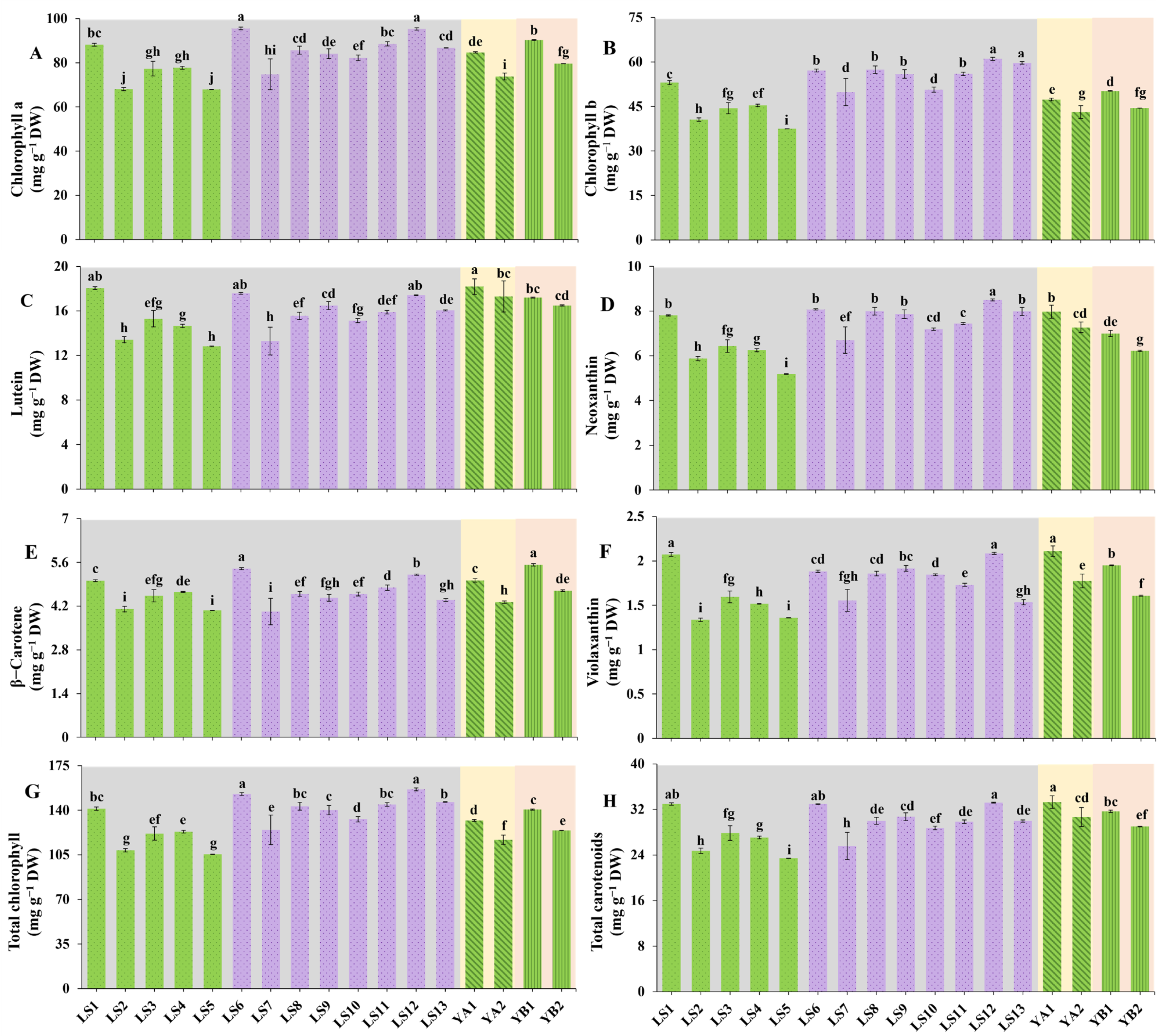 Horticulturae 11 00059 g001