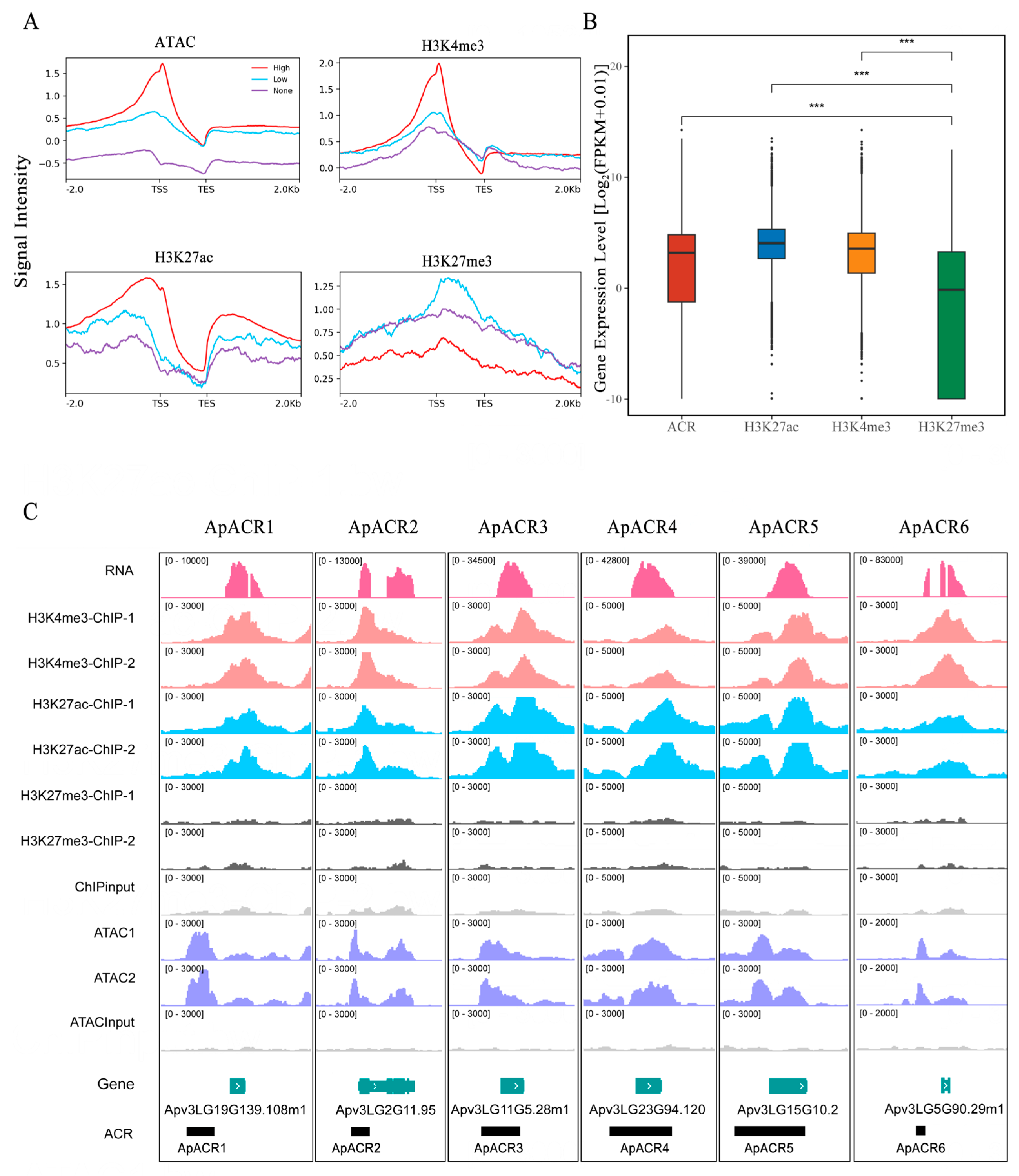 Horticulturae 11 00063 g001 Horticulturae 11 00063 g001